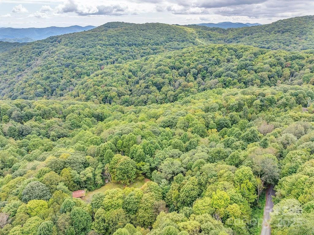 7130 Max Patch Road - Photo 6