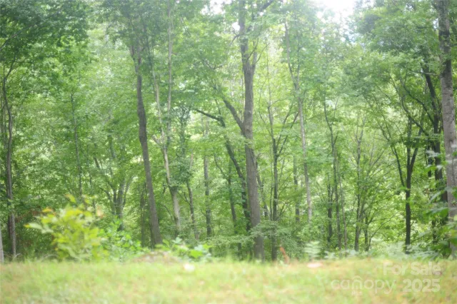 9 Wood Haven Lane