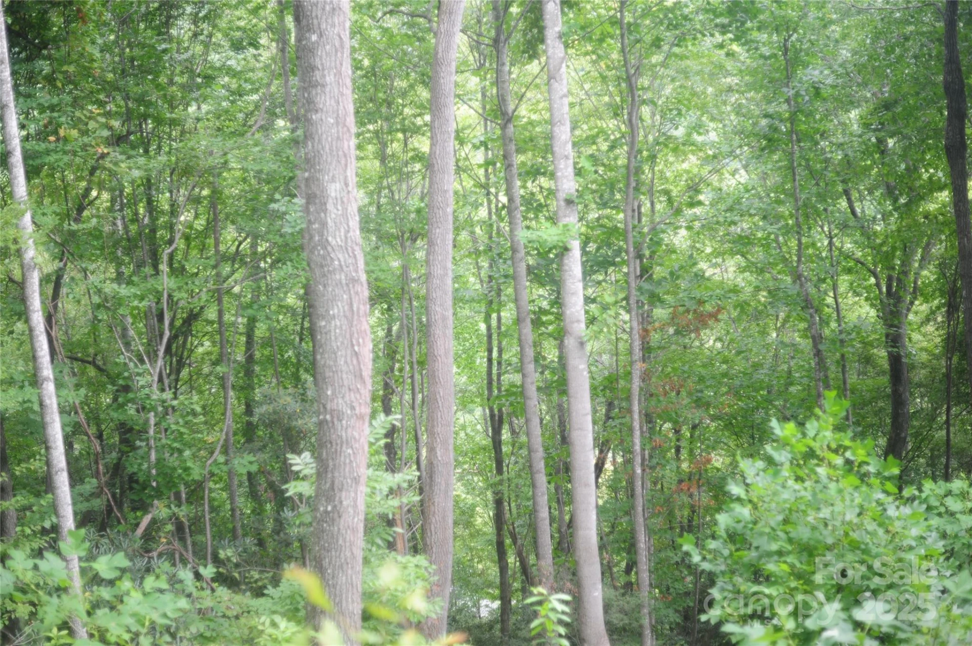 9 Wood Haven Lane #108 - Photo 2
