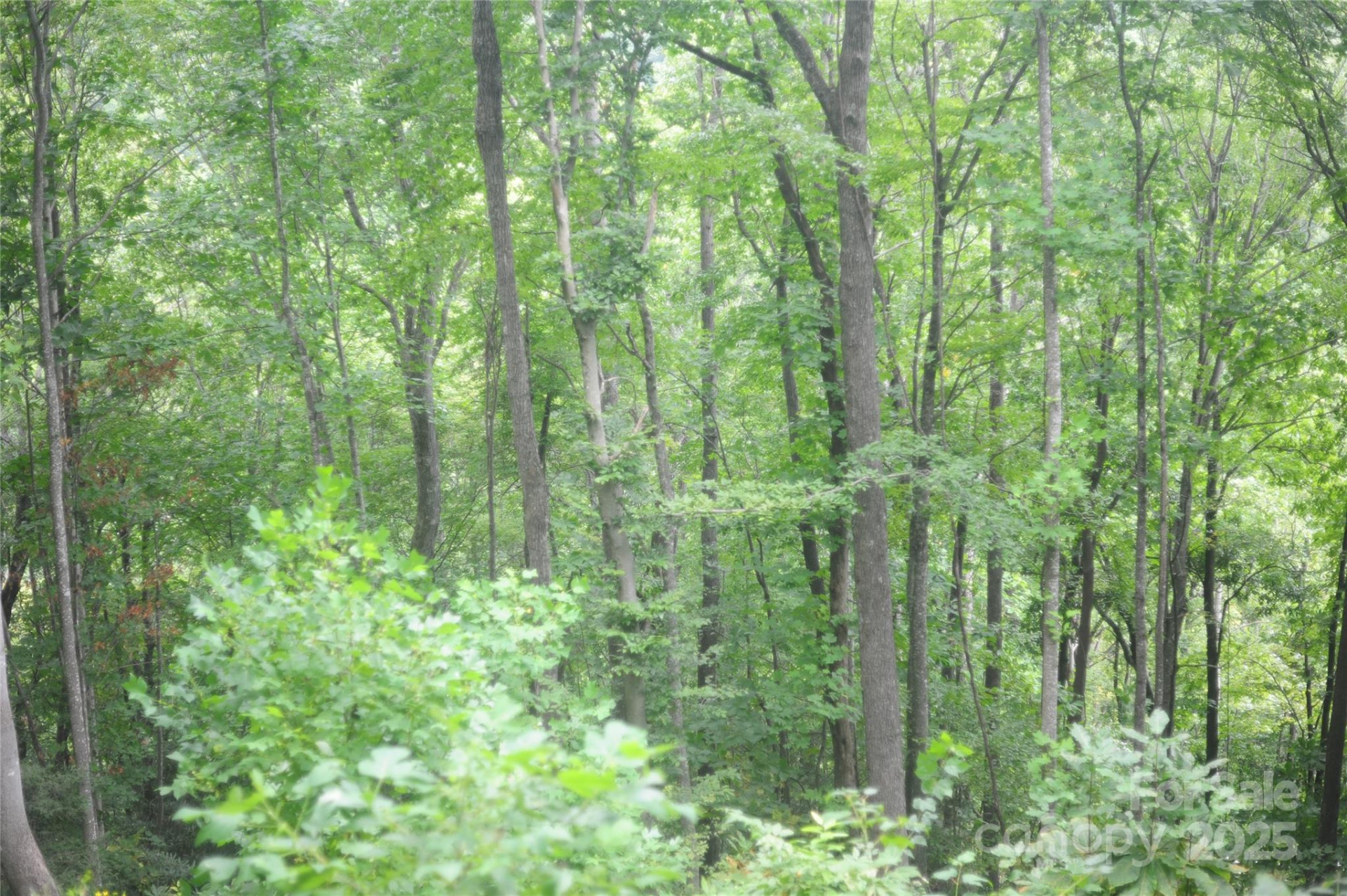 9 Wood Haven Lane #108 - Photo 3