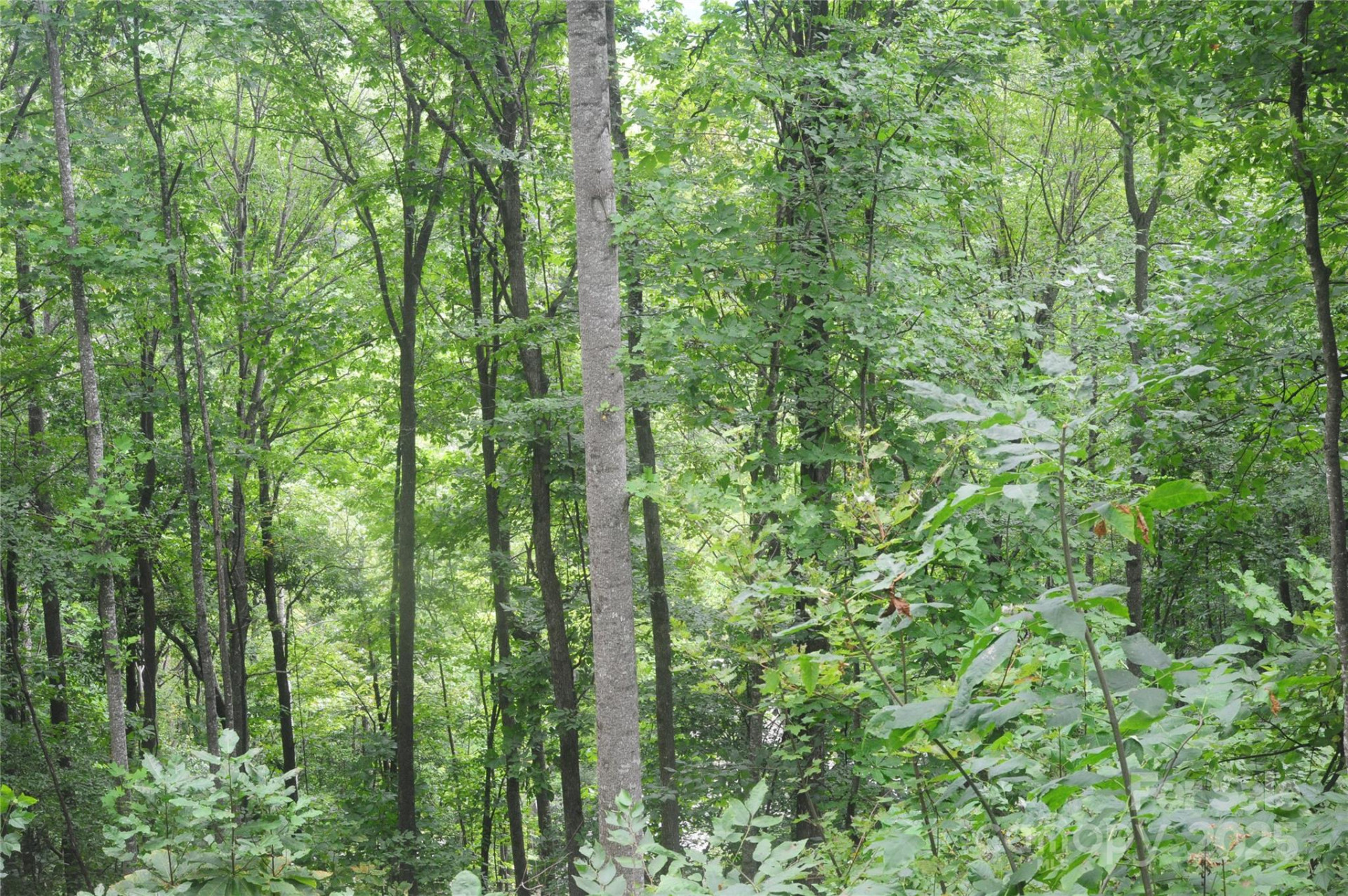 9 Wood Haven Lane #108 - Photo 4