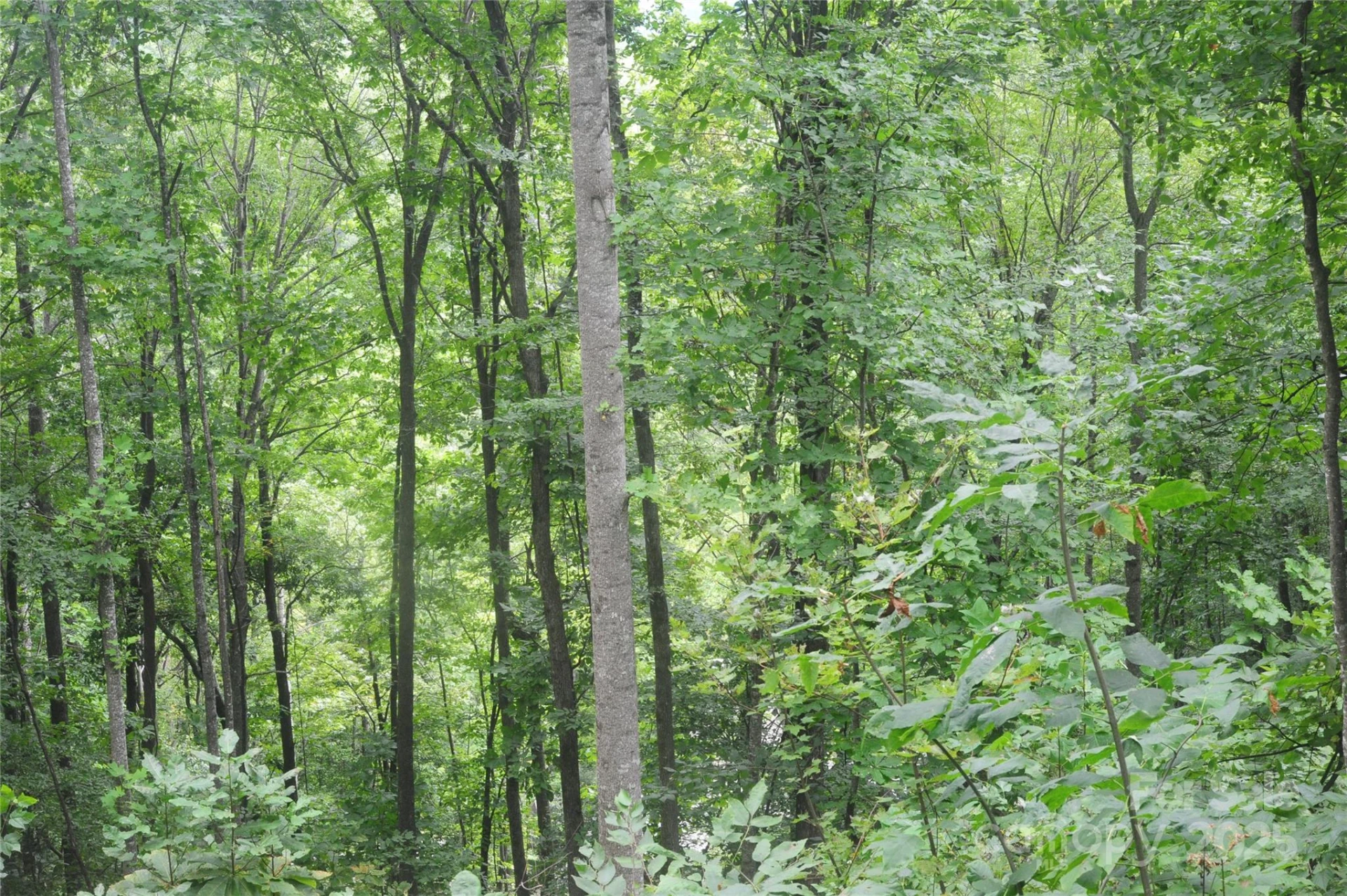9 Wood Haven Lane #108 - Photo 4