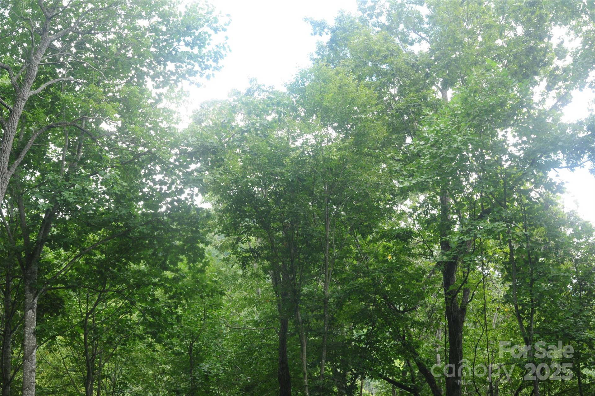 9 Wood Haven Lane #108 - Photo 5