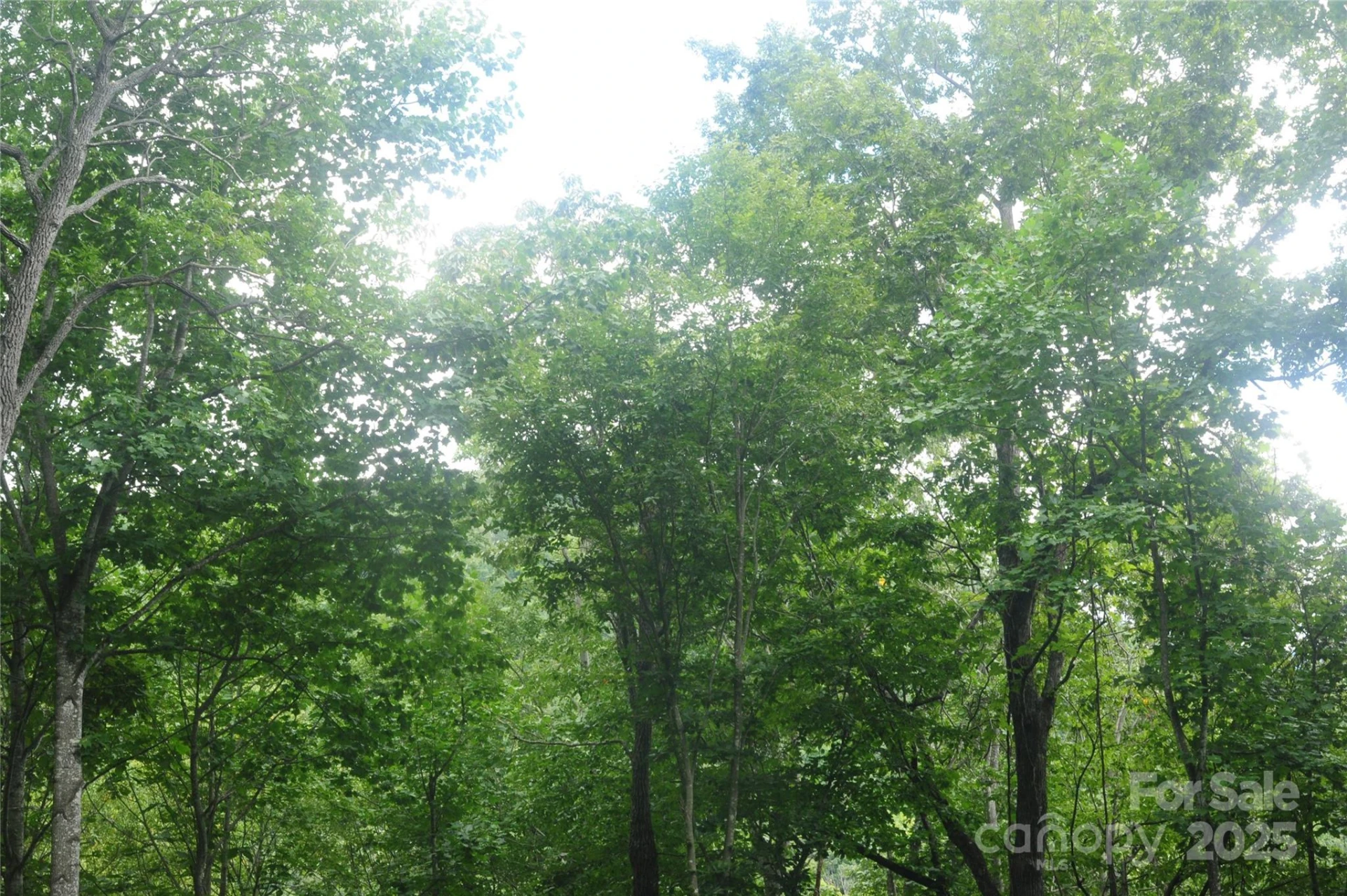 9 Wood Haven Lane #108 - Photo 5