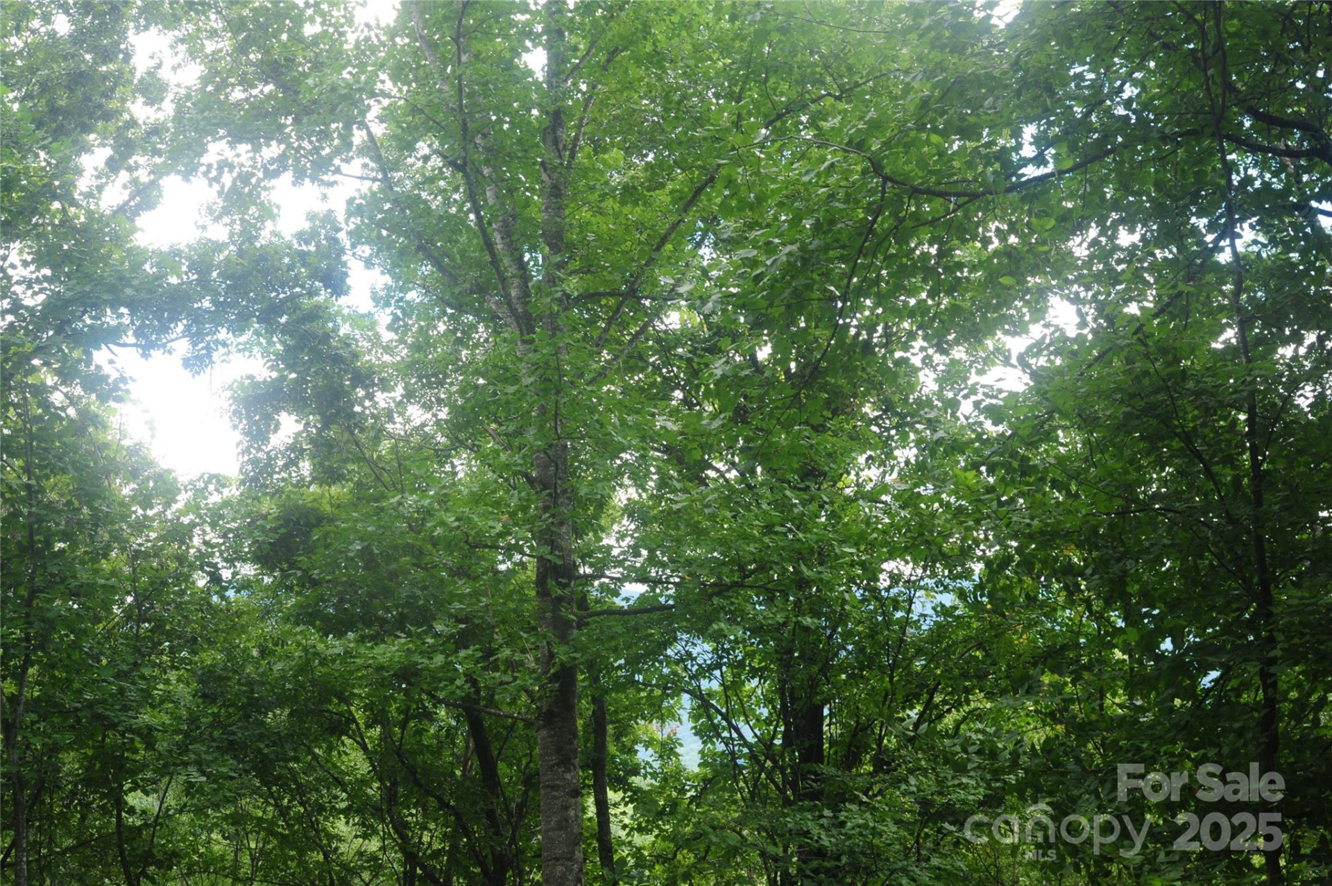 9 Wood Haven Lane #108 - Photo 6