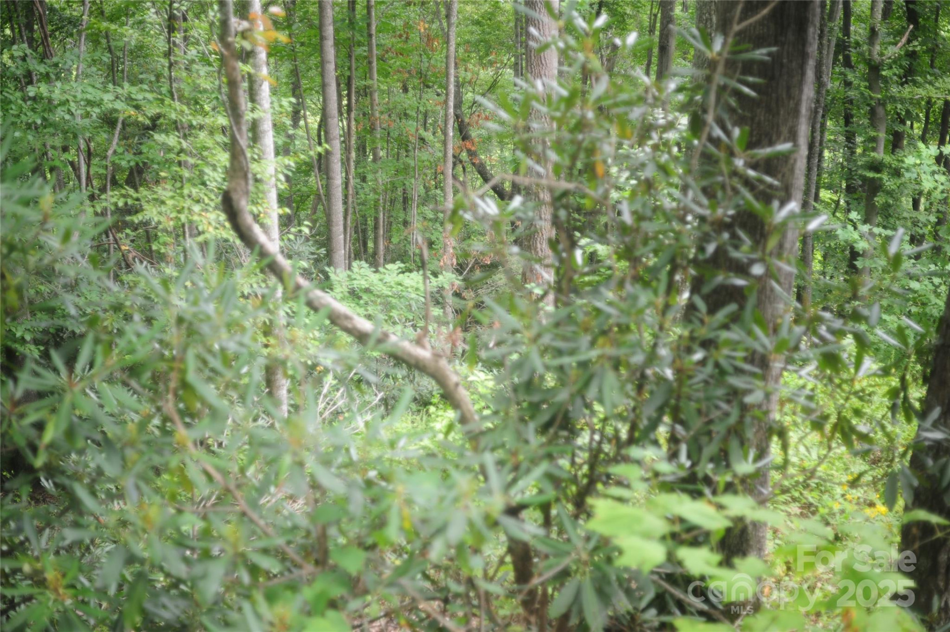 9 Wood Haven Lane #108 - Photo 7