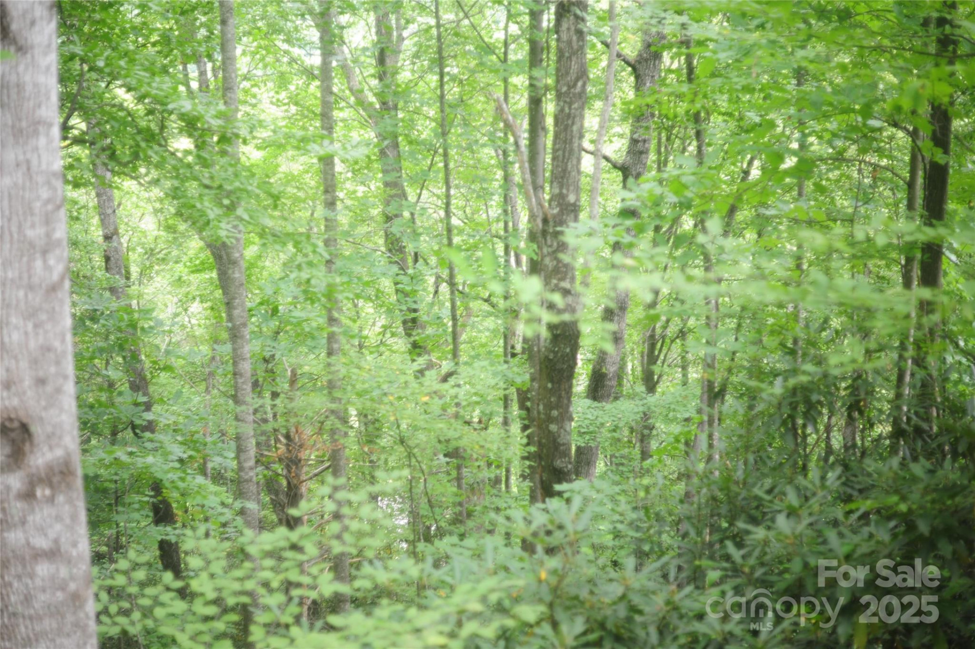 9 Wood Haven Lane #108 - Photo 8