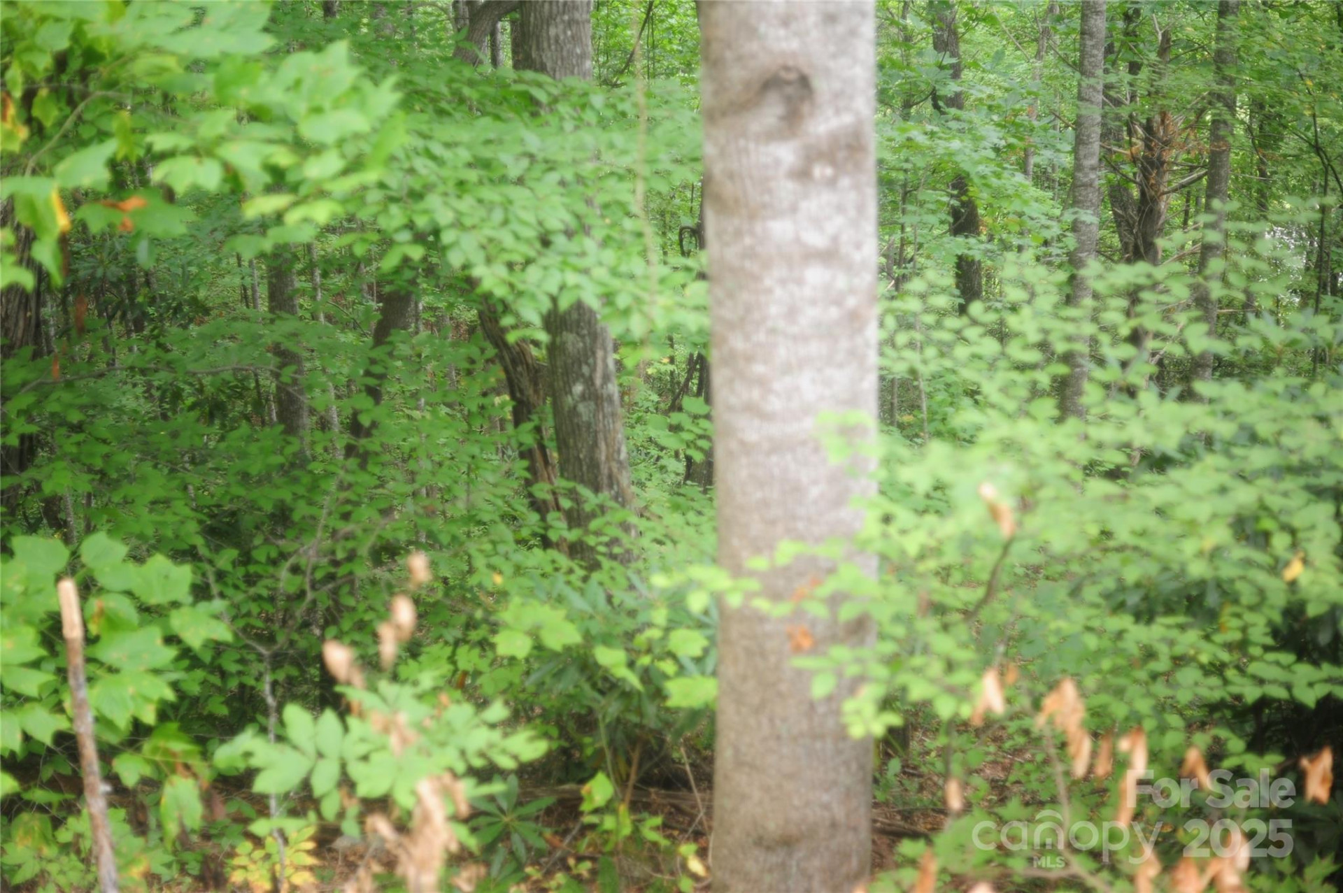 9 Wood Haven Lane #108 - Photo 9