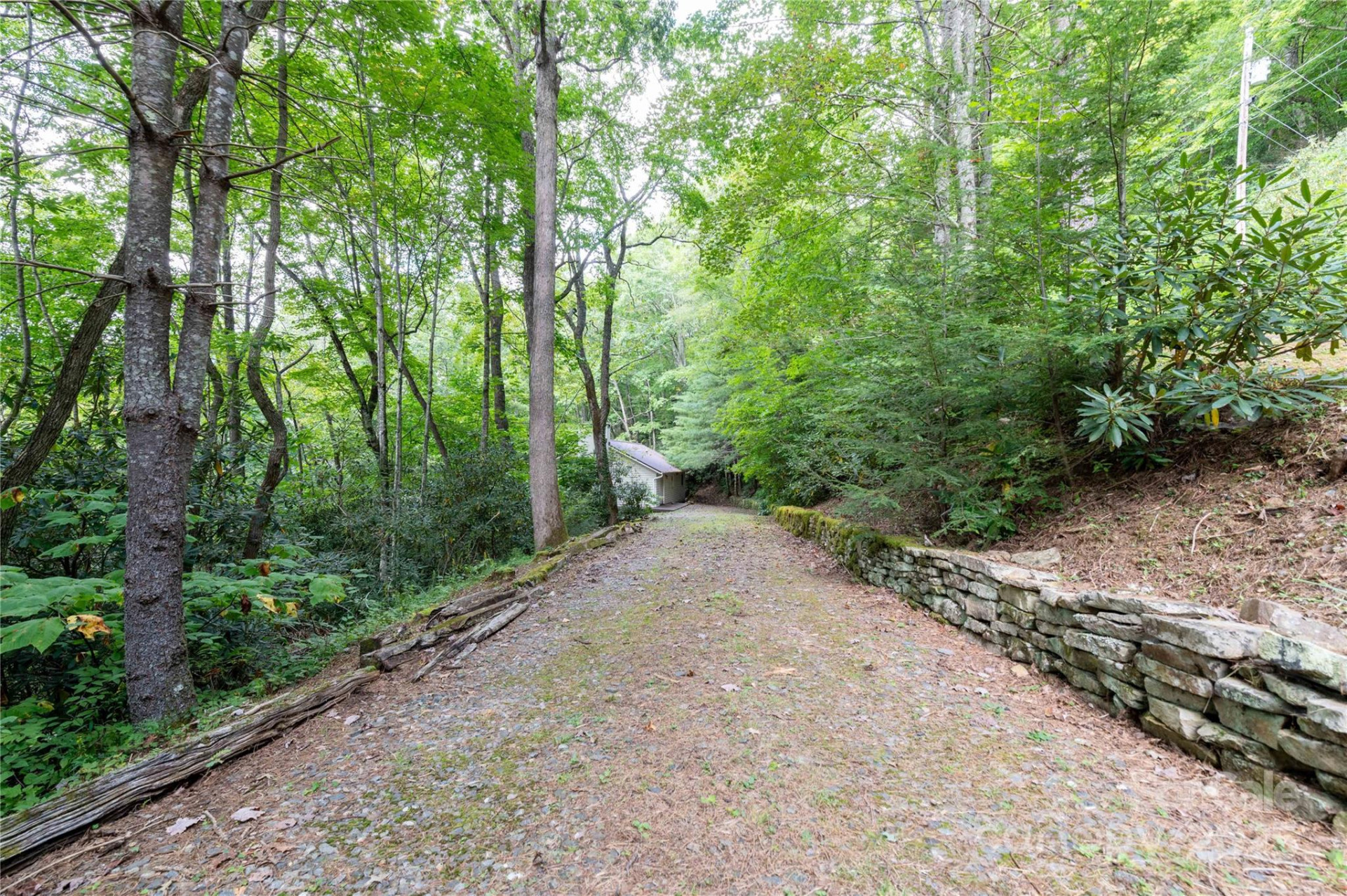 479 Big Ridge Road - Photo 2