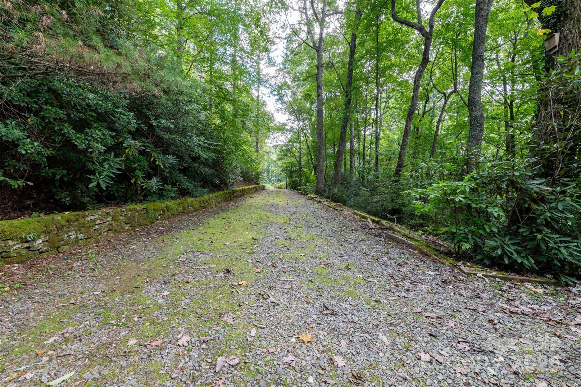 479 Big Ridge Road - Photo 40