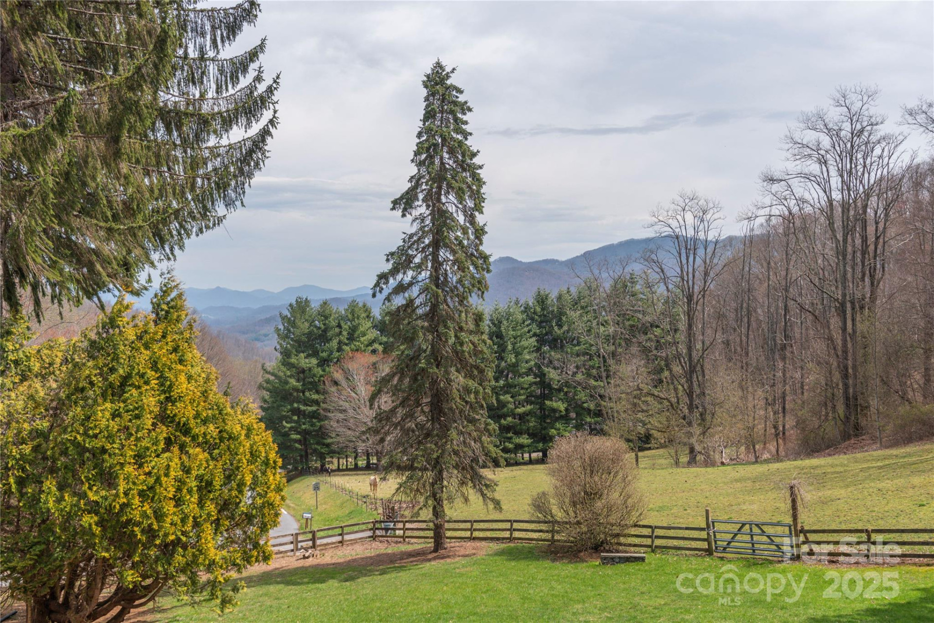 55 Grove Park - Photo 28