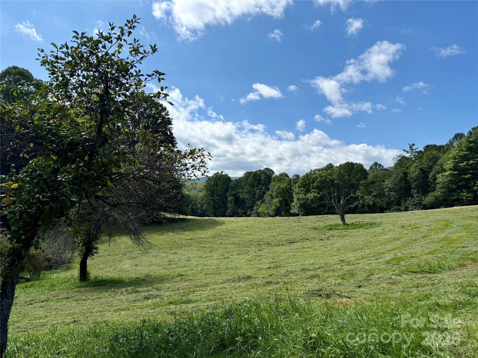 TBD Slick Fisher Road - Photo 8