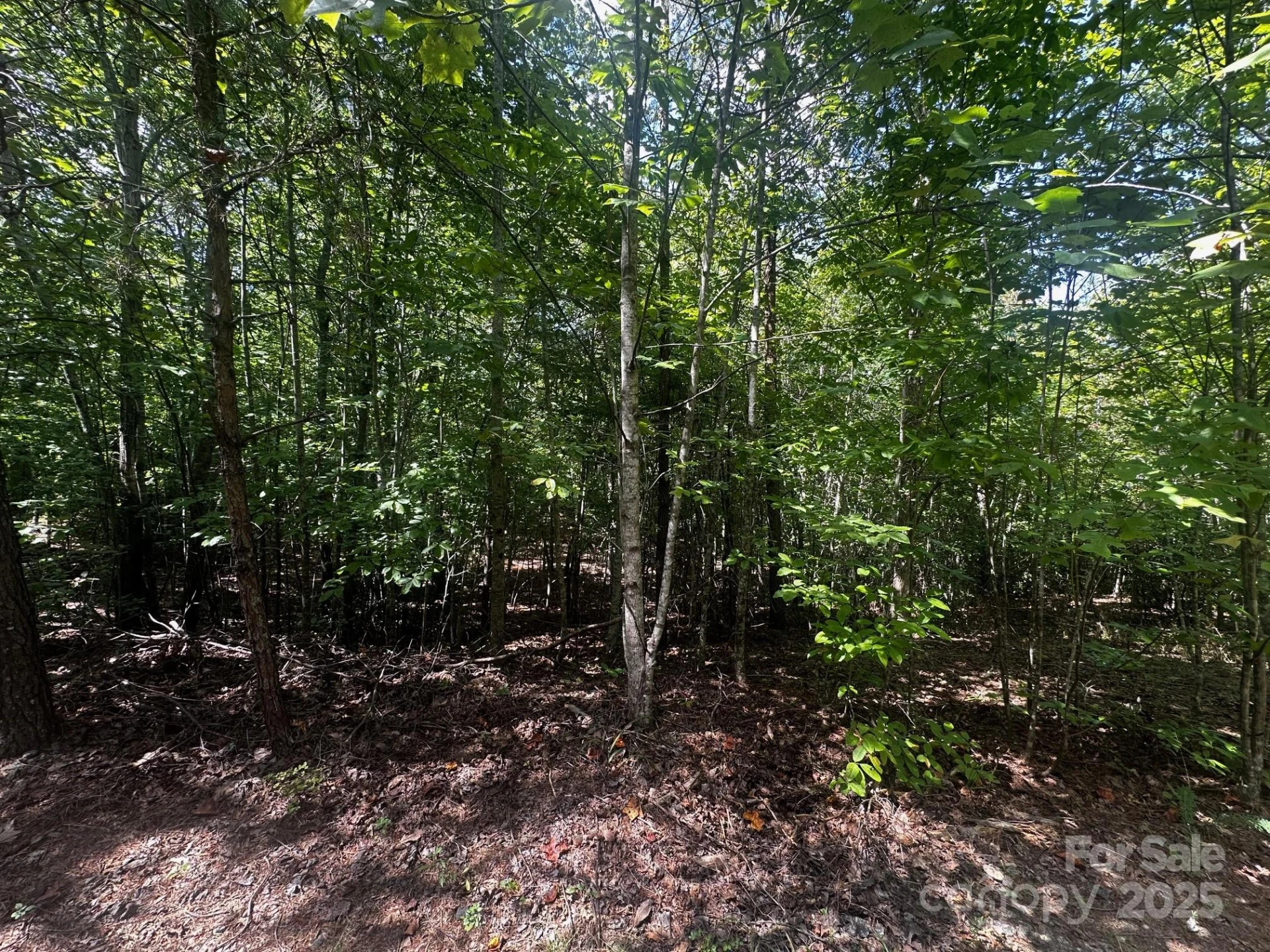 0000 Lake Haven Drive - Photo 2