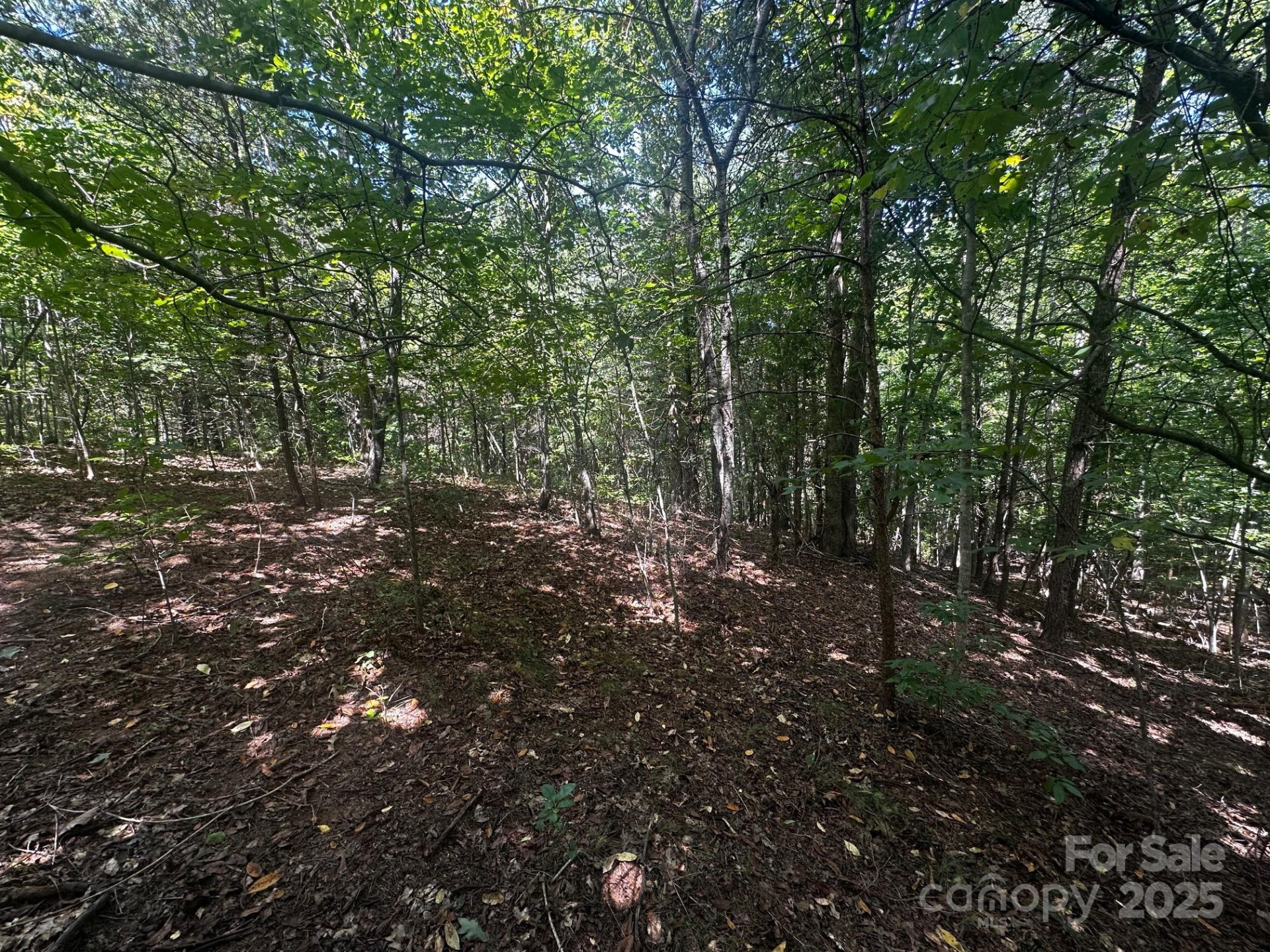 0000 Lake Haven Drive - Photo 11