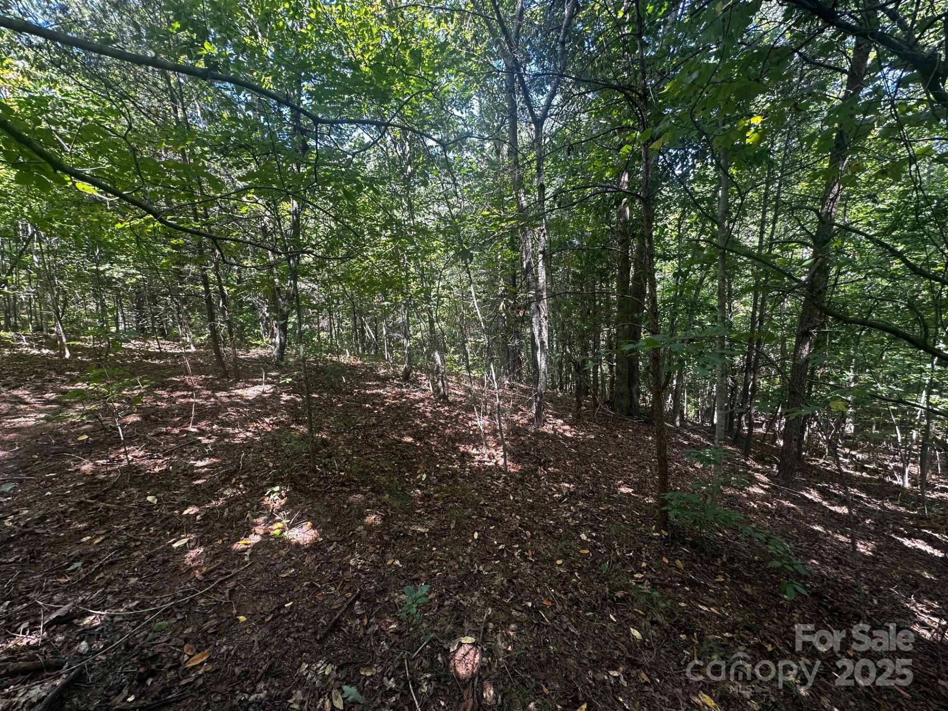 0000 Lake Haven Drive - Photo 11