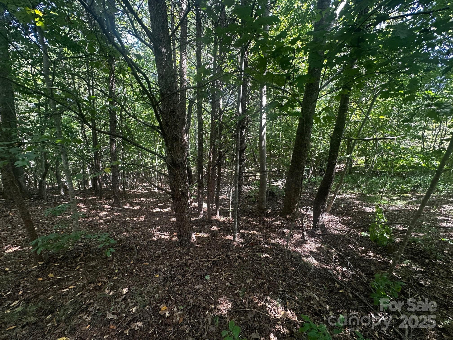 0000 Lake Haven Drive - Photo 12