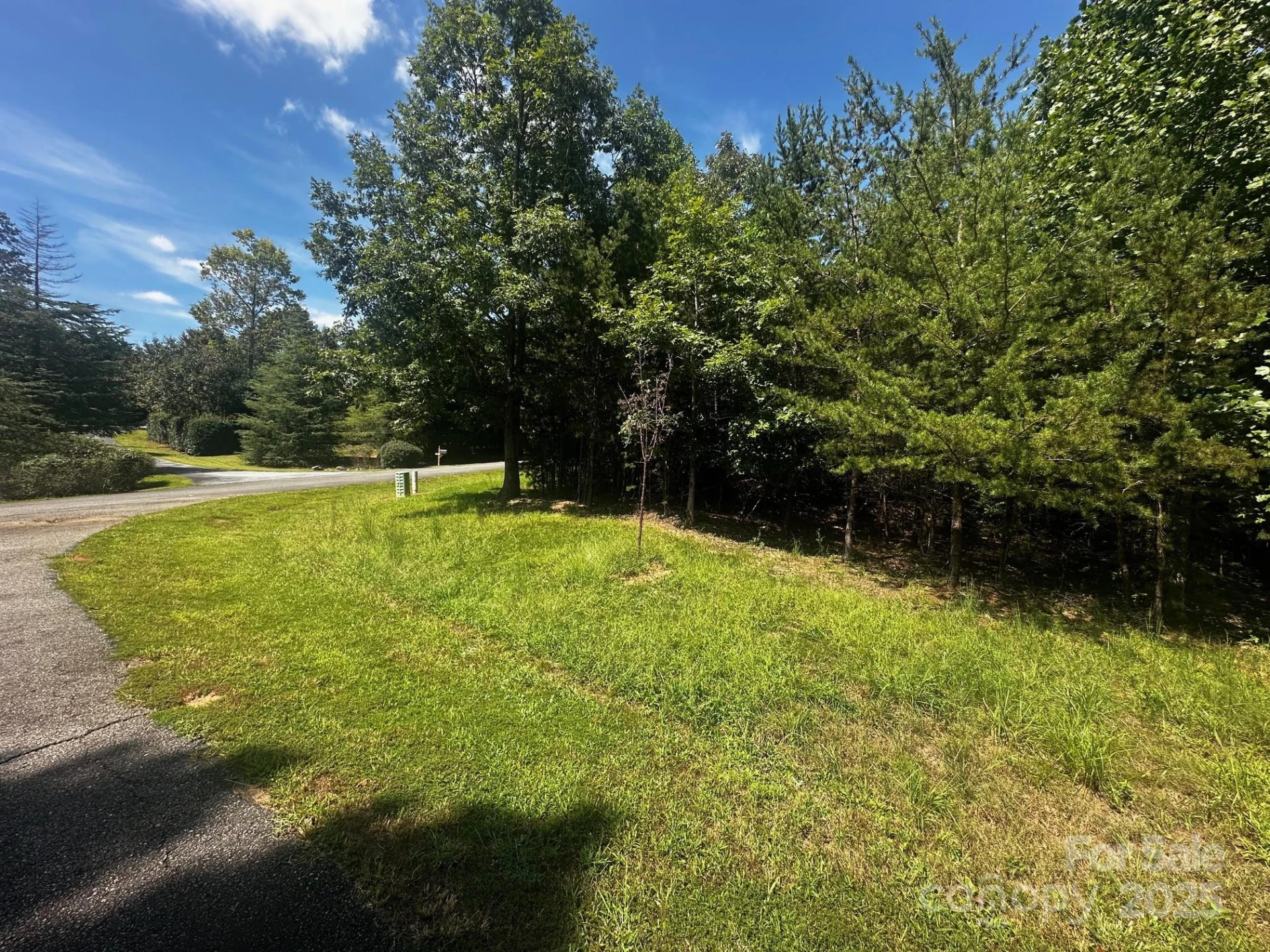 0000 Lake Haven Drive - Photo 13