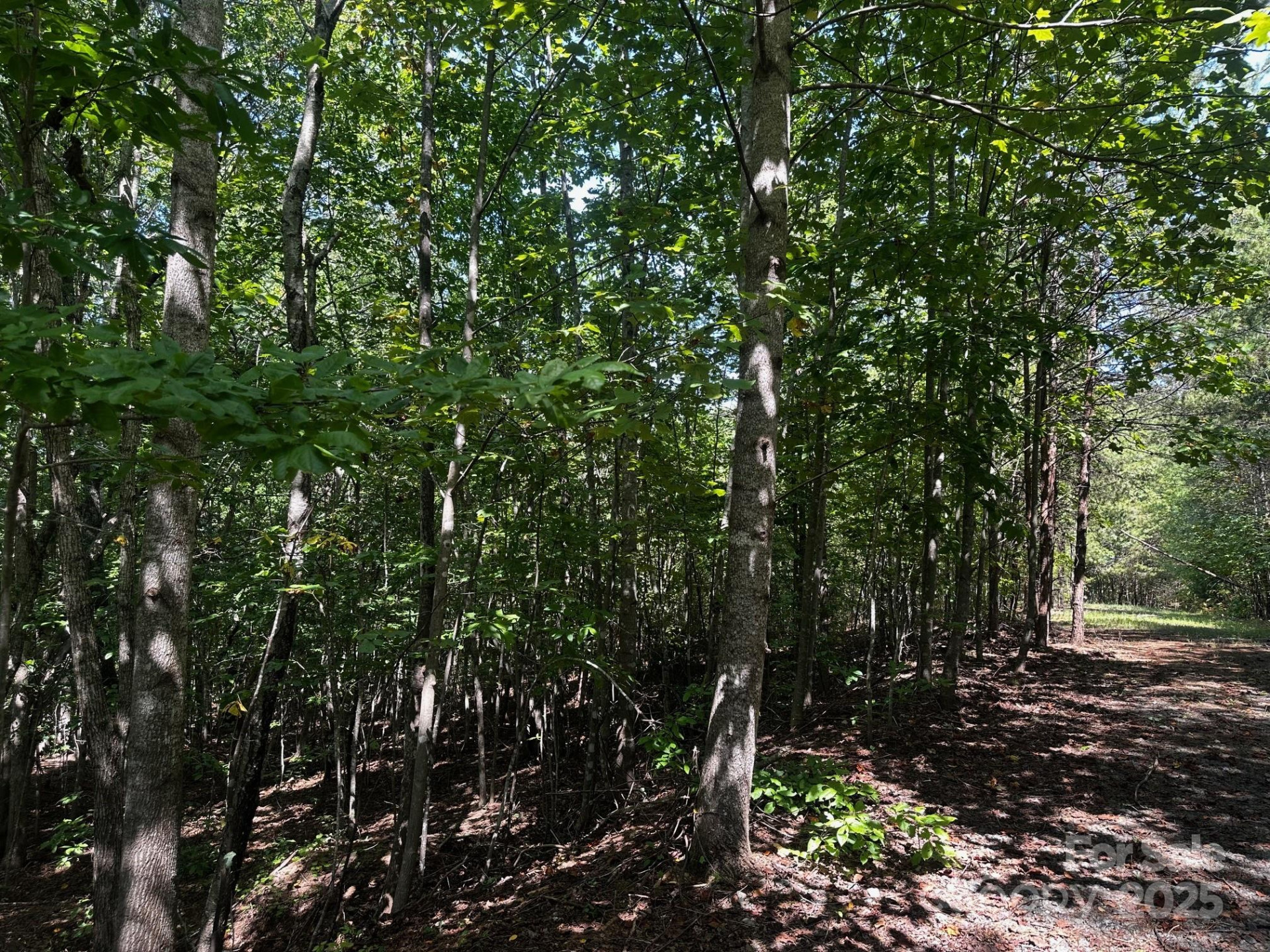 0000 Lake Haven Drive - Photo 5