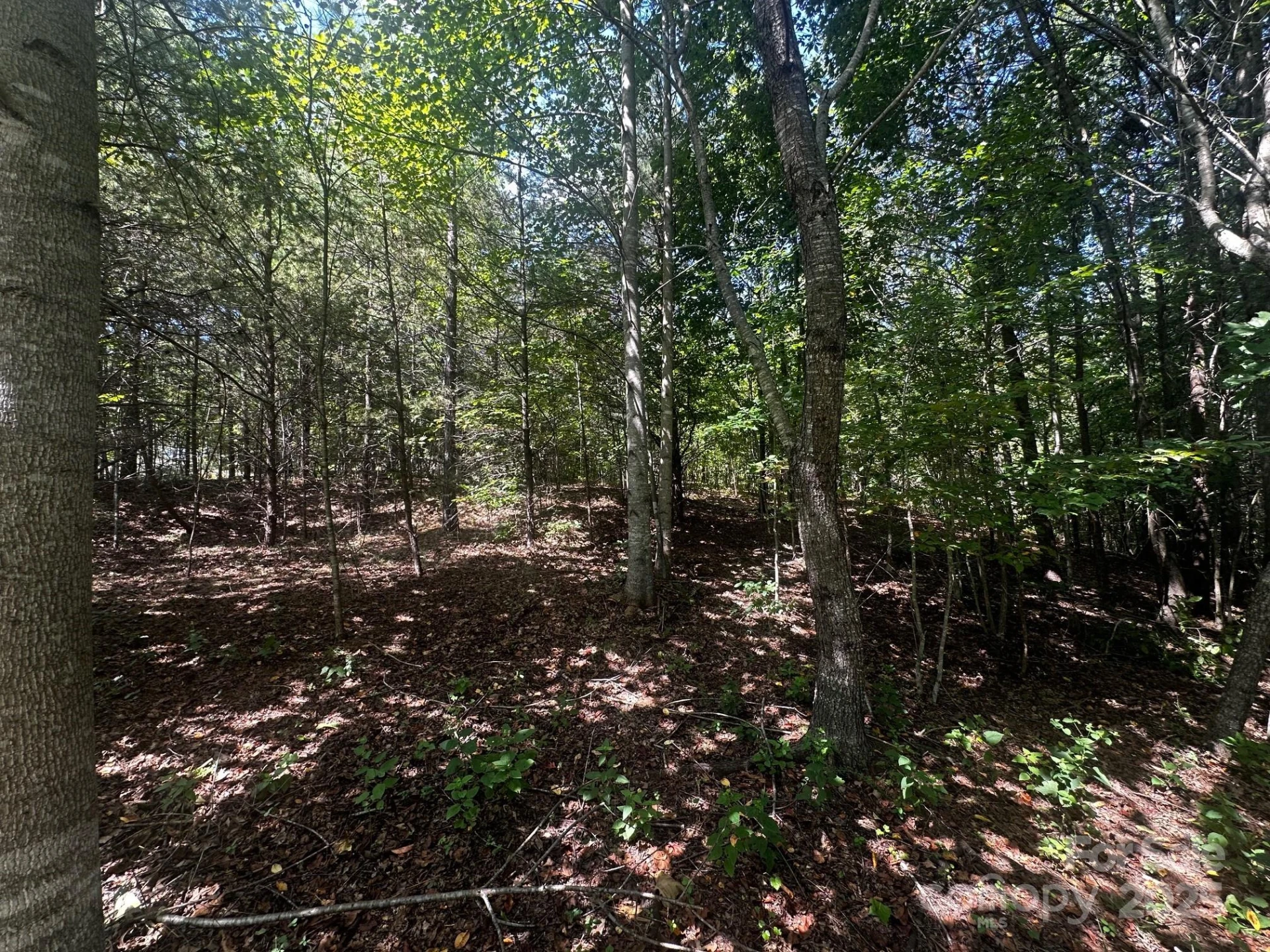 0000 Lake Haven Drive - Photo 7