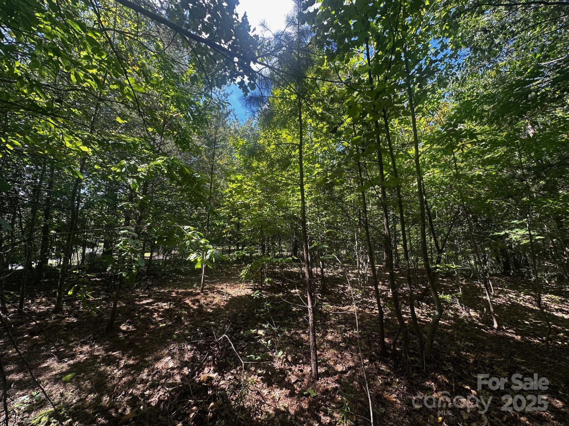 0000 Lake Haven Drive - Photo 8