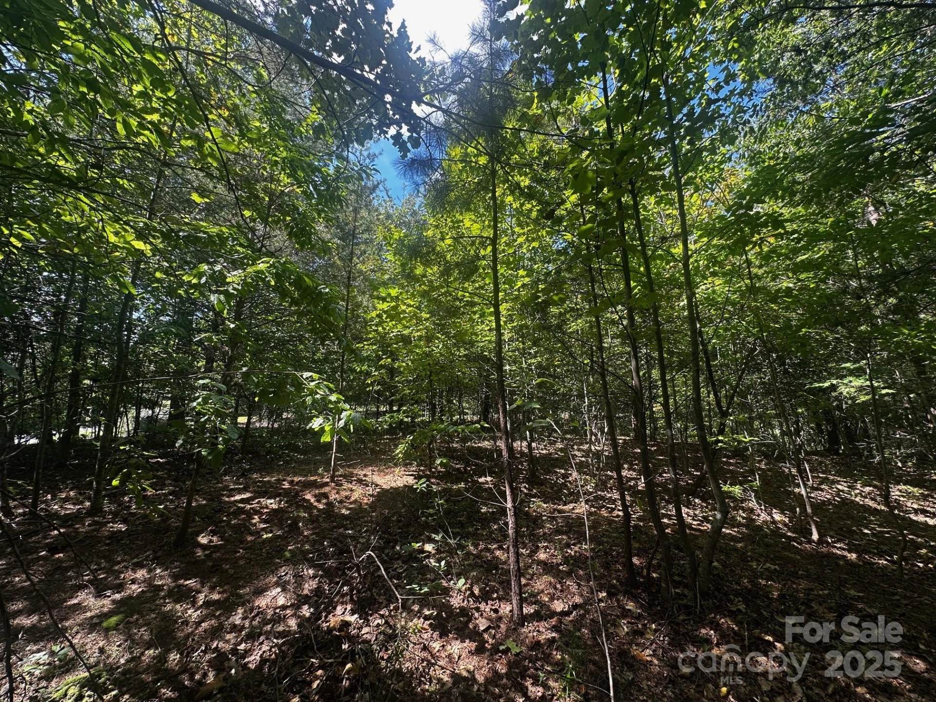 0000 Lake Haven Drive - Photo 8
