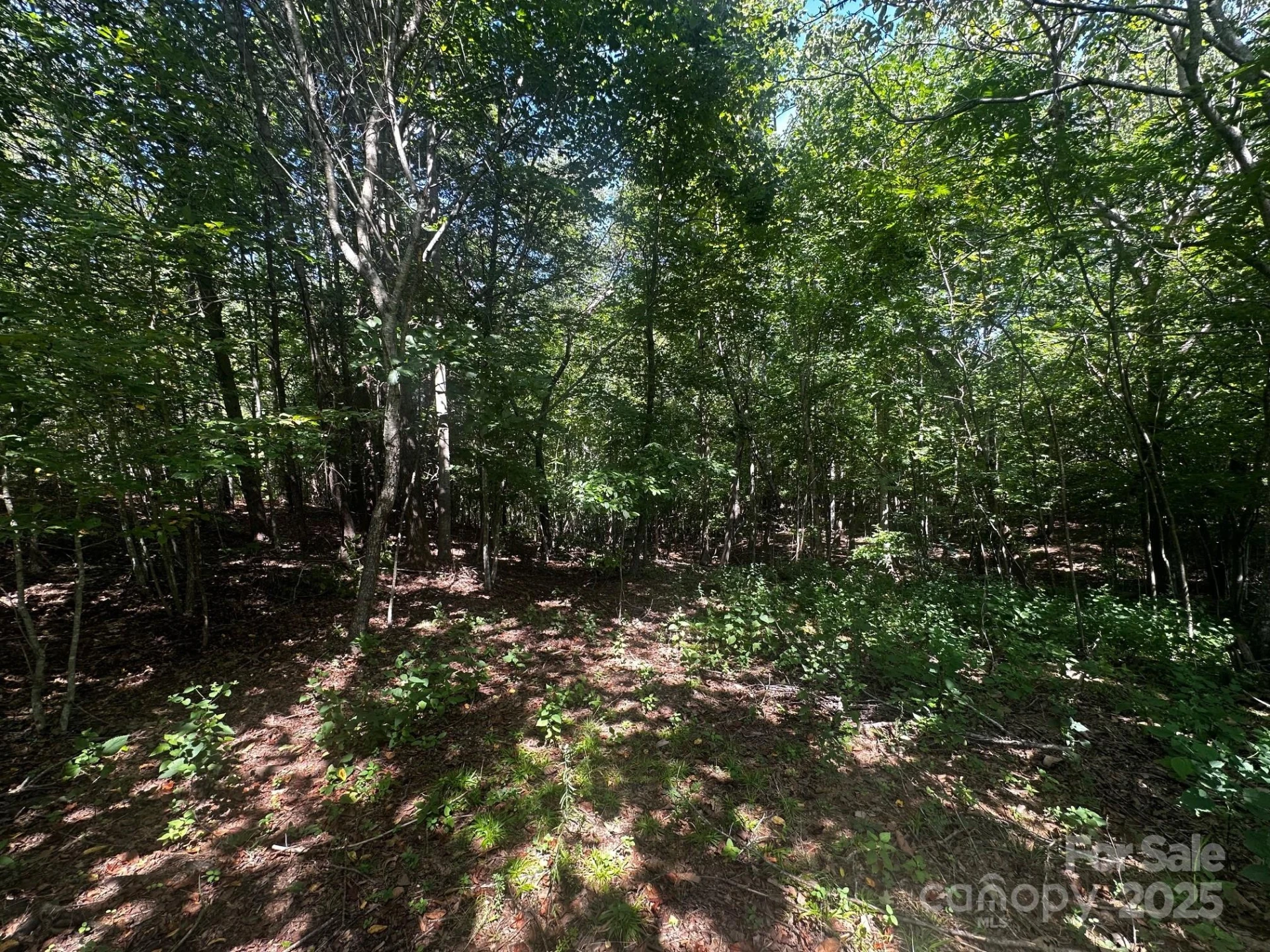 0000 Lake Haven Drive - Photo 9