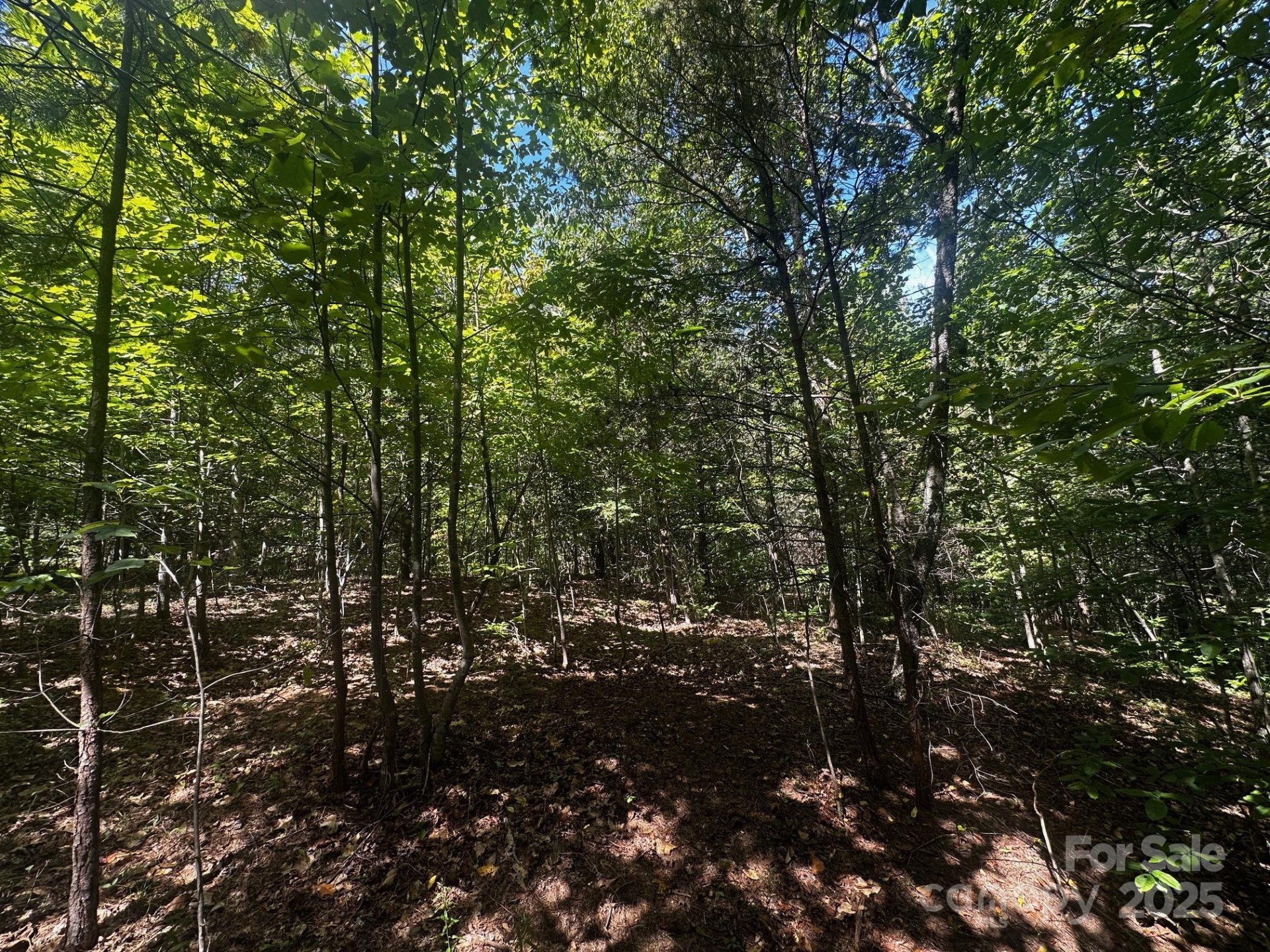 0000 Lake Haven Drive - Photo 10