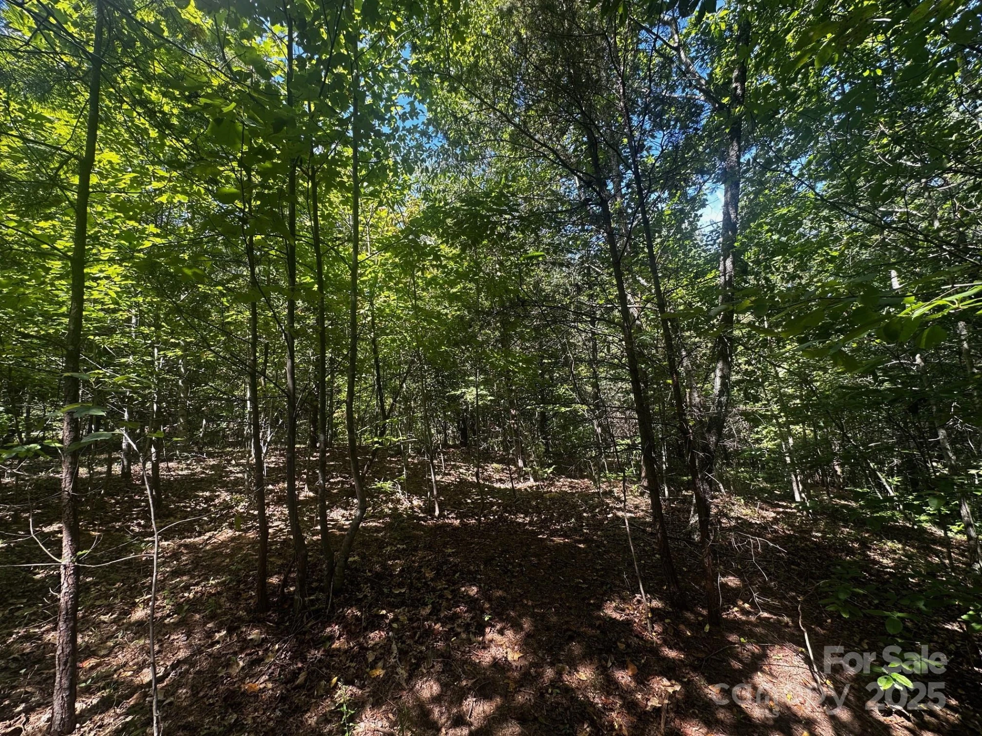 0000 Lake Haven Drive - Photo 10