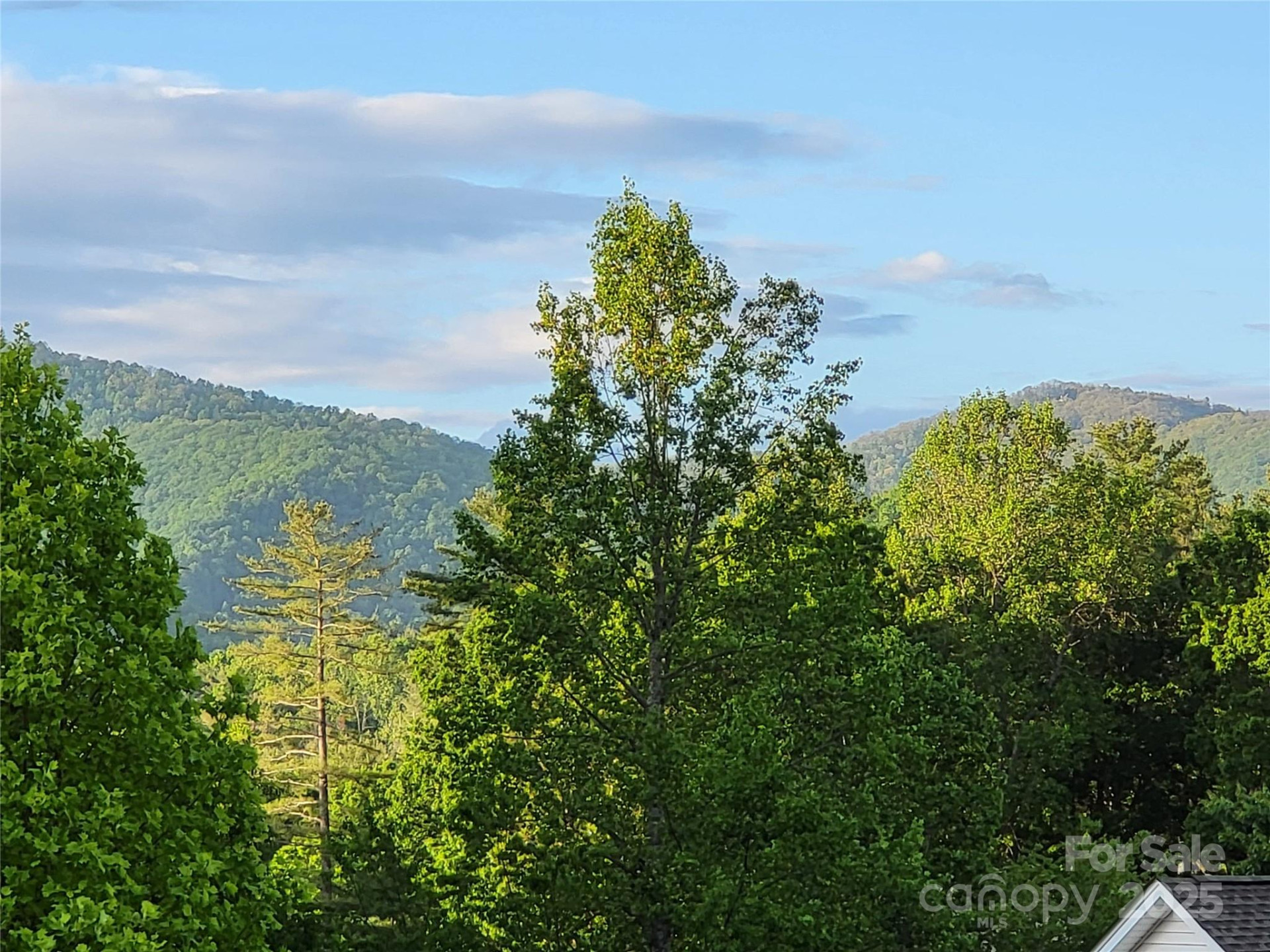 15 Madelyn Lane - Photo 47