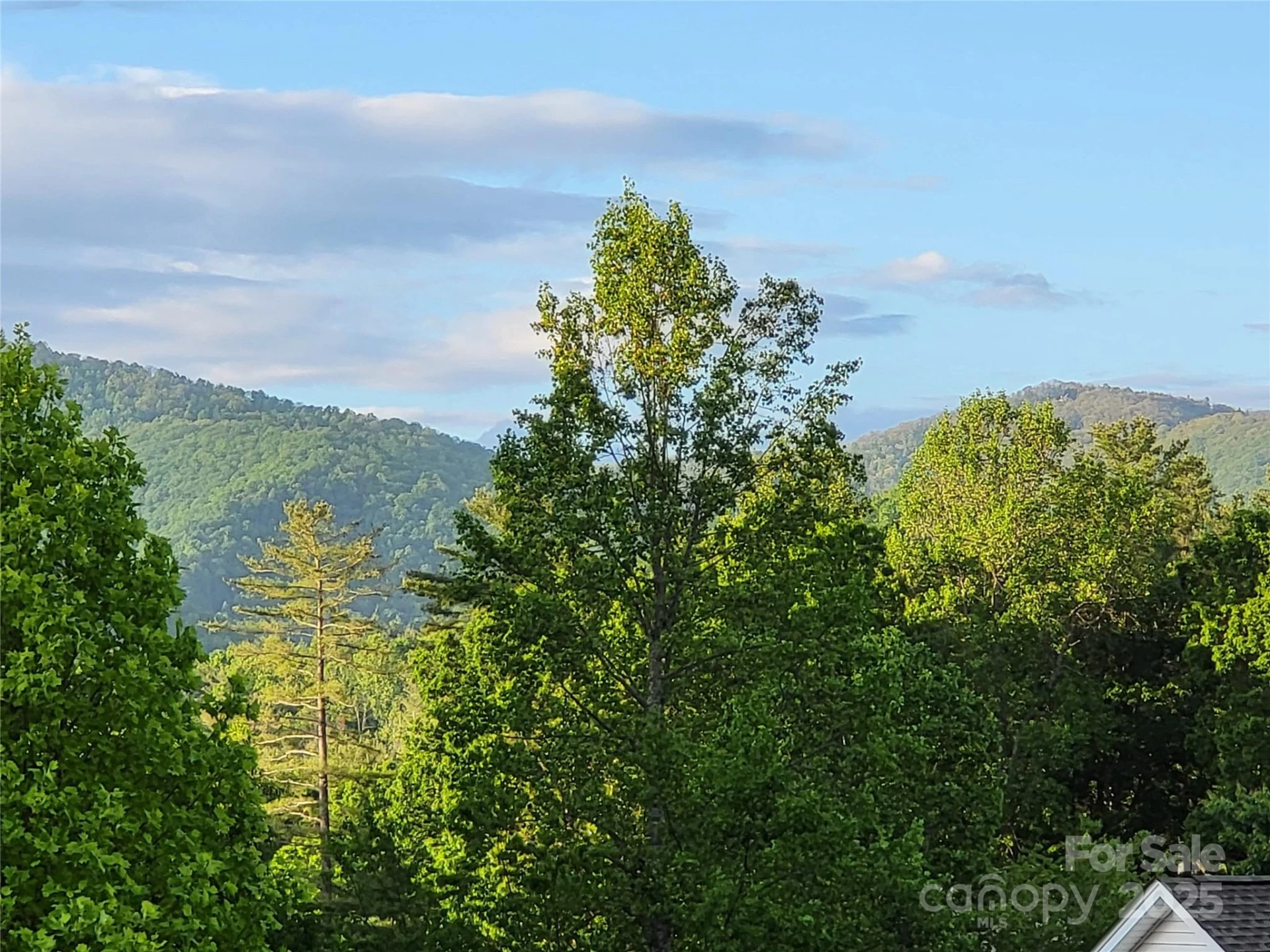15 Madelyn Lane - Photo 47
