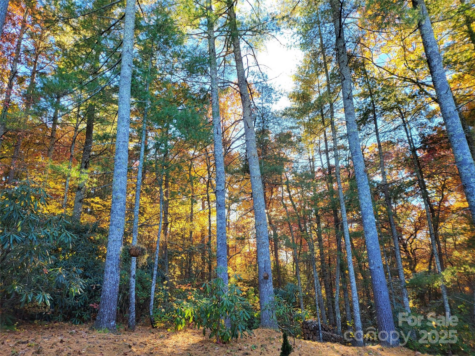 15 Madelyn Lane - Photo 48