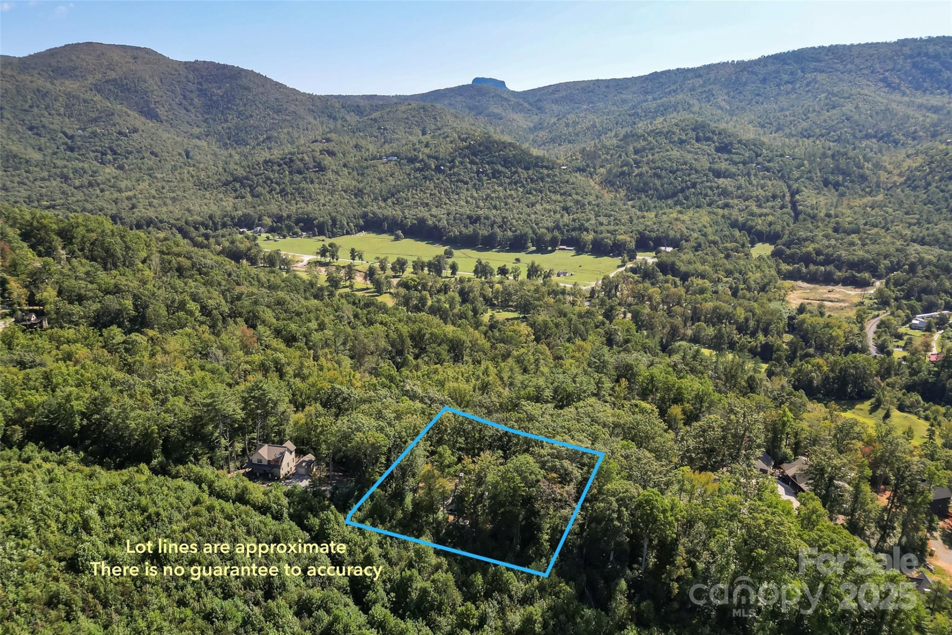 90 Clinchfield Gap Road - Photo 32