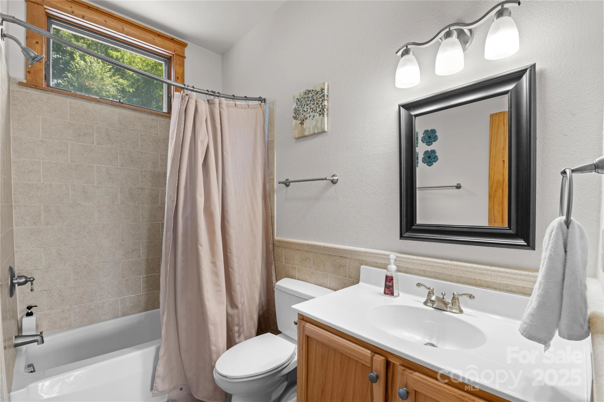201 Scenic Wolf Drive - Photo 26