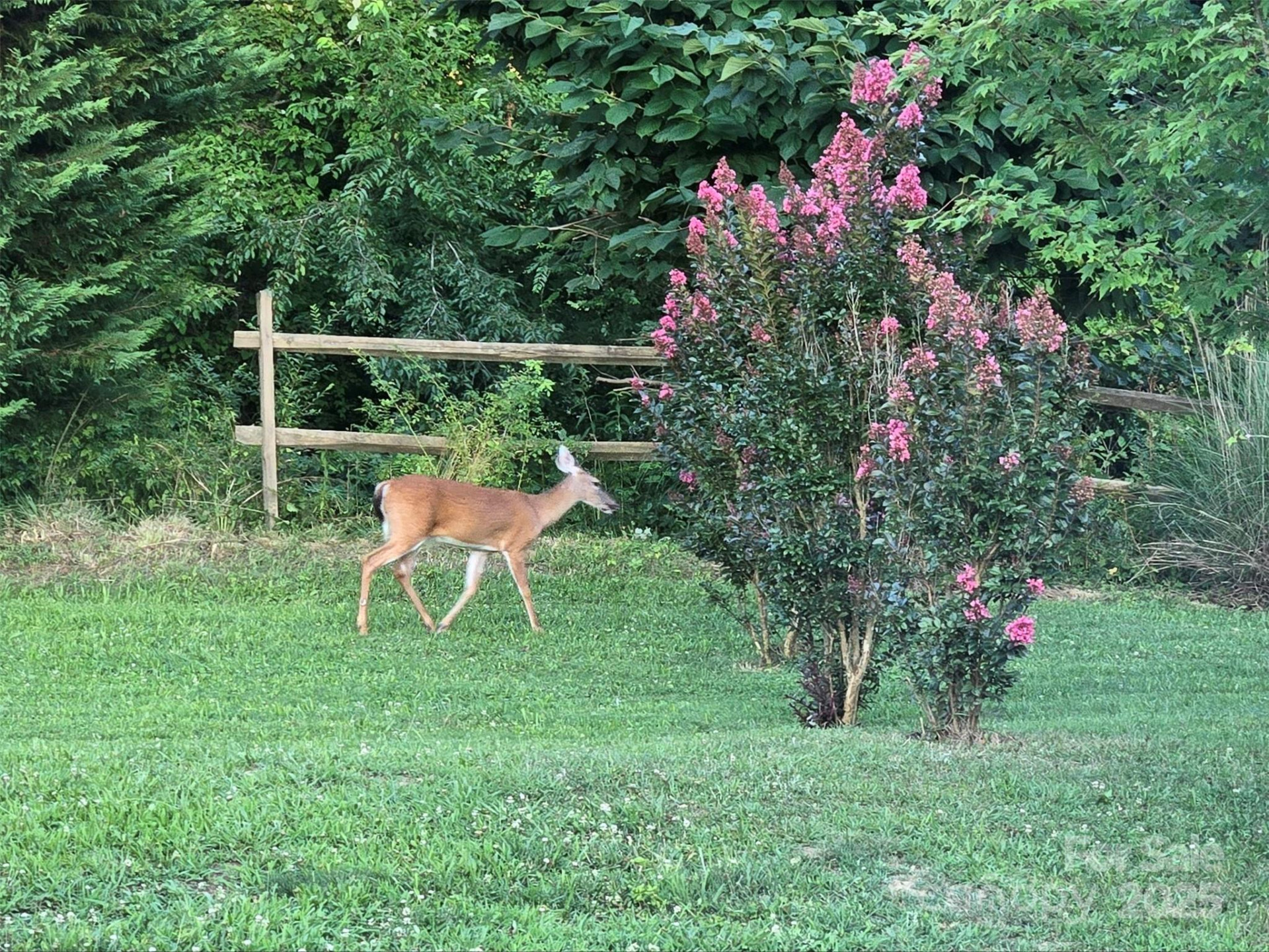 626 Fairview Loop - Photo 34