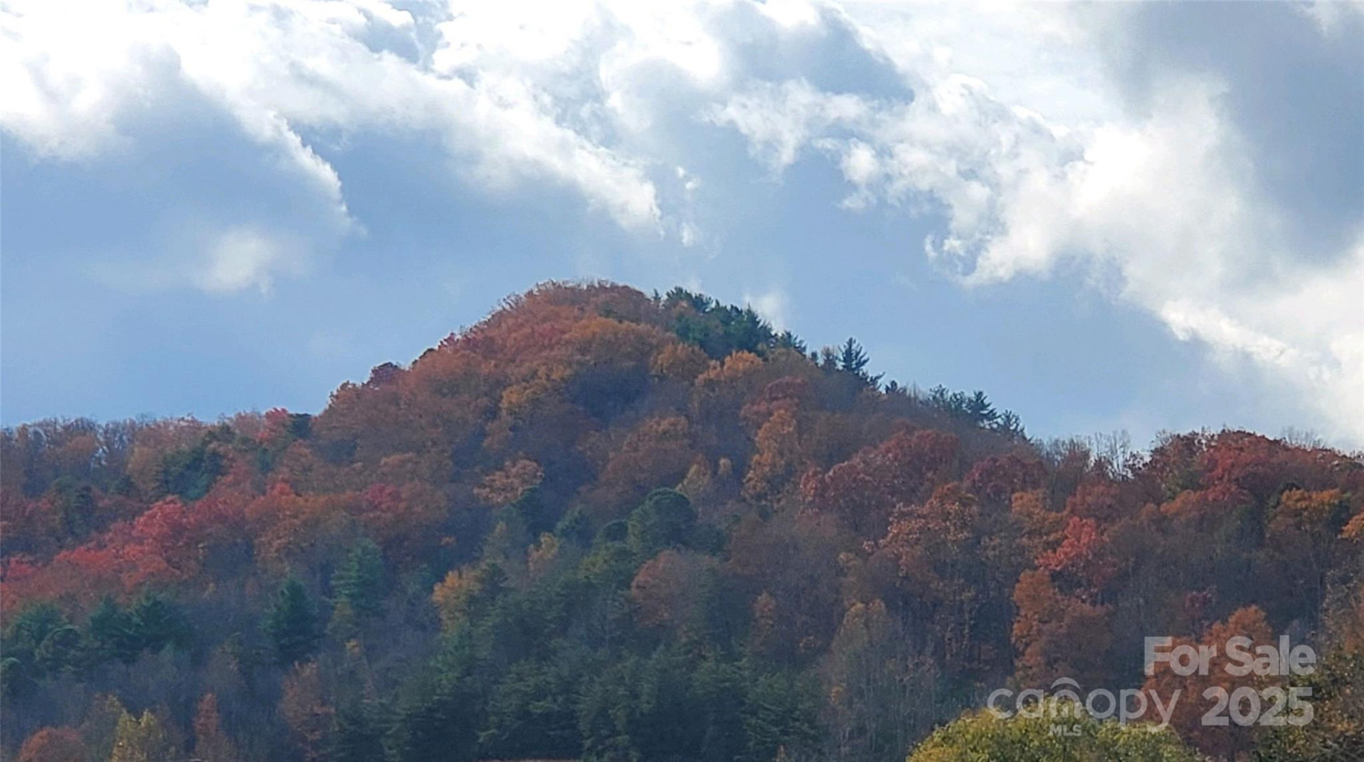 626 Fairview Loop - Photo 36