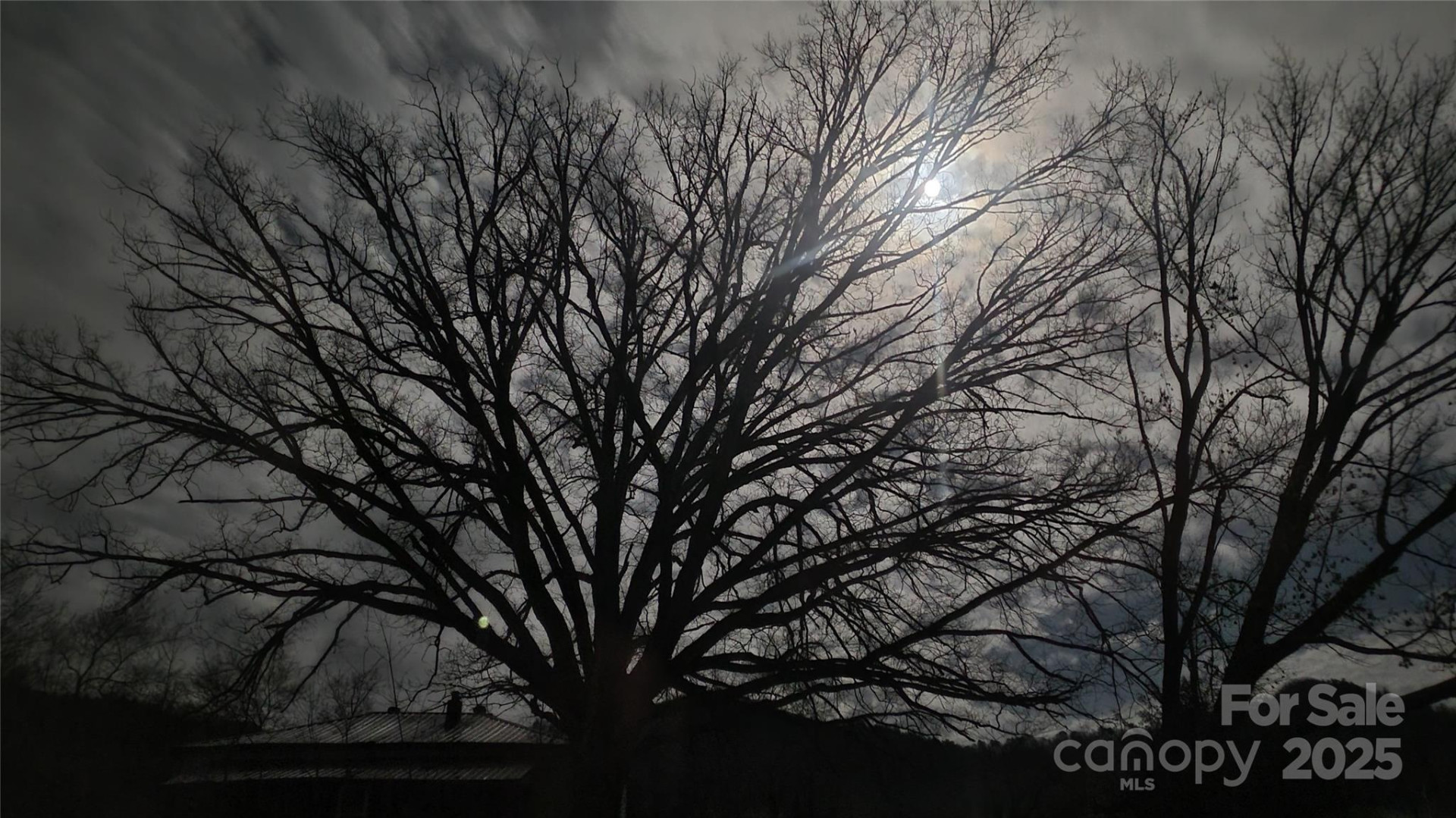 626 Fairview Loop - Photo 43