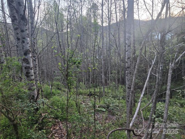 Lt 1 Running Water Circle, Sylva, NC, 28779