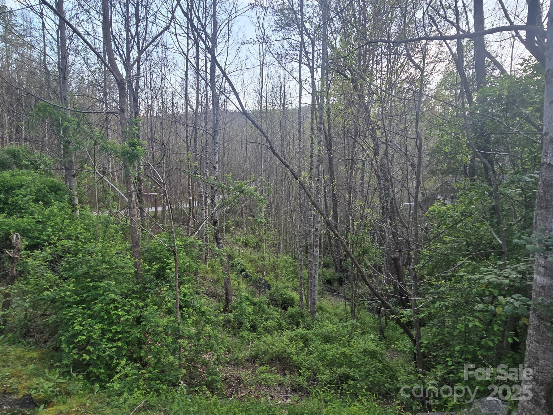 Lt 1 Running Water Circle #1 - Photo 2