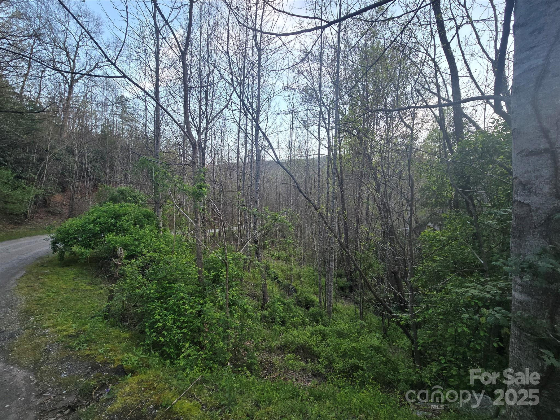 Lt 1 Running Water Circle #1 - Photo 3