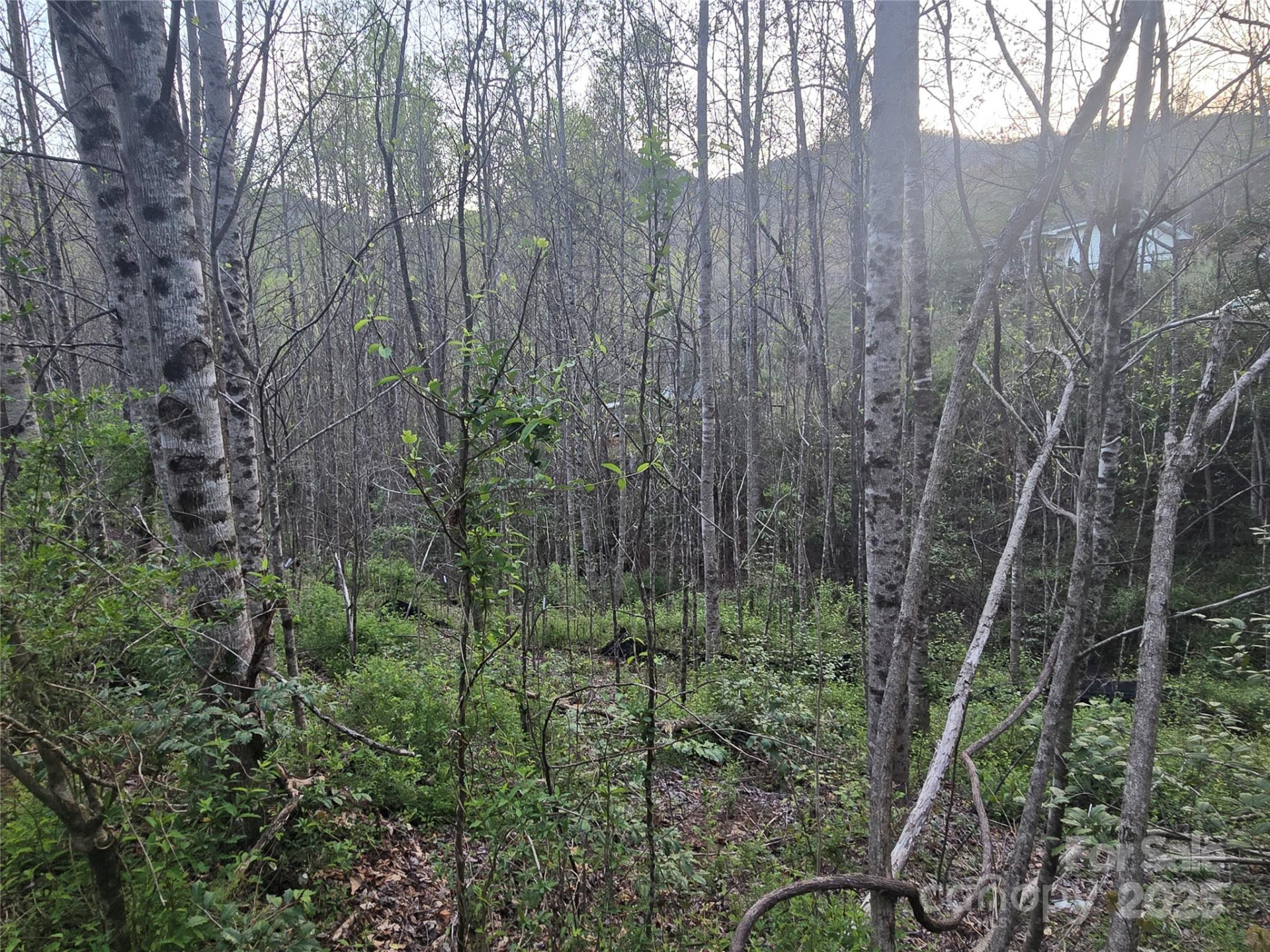 Lt 1 Running Water Circle #1 - Photo 4