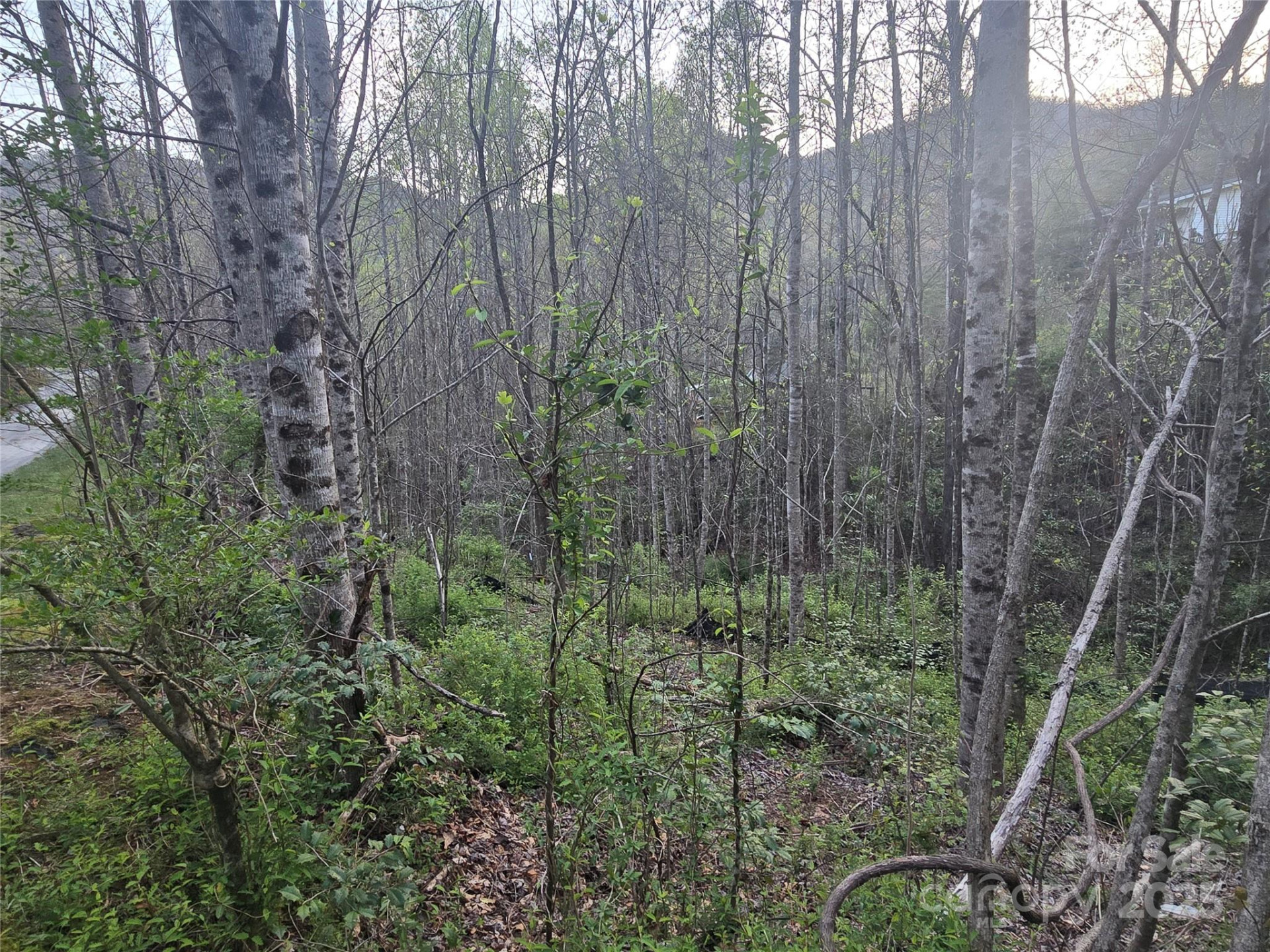 Lt 1 Running Water Circle #1 - Photo 5