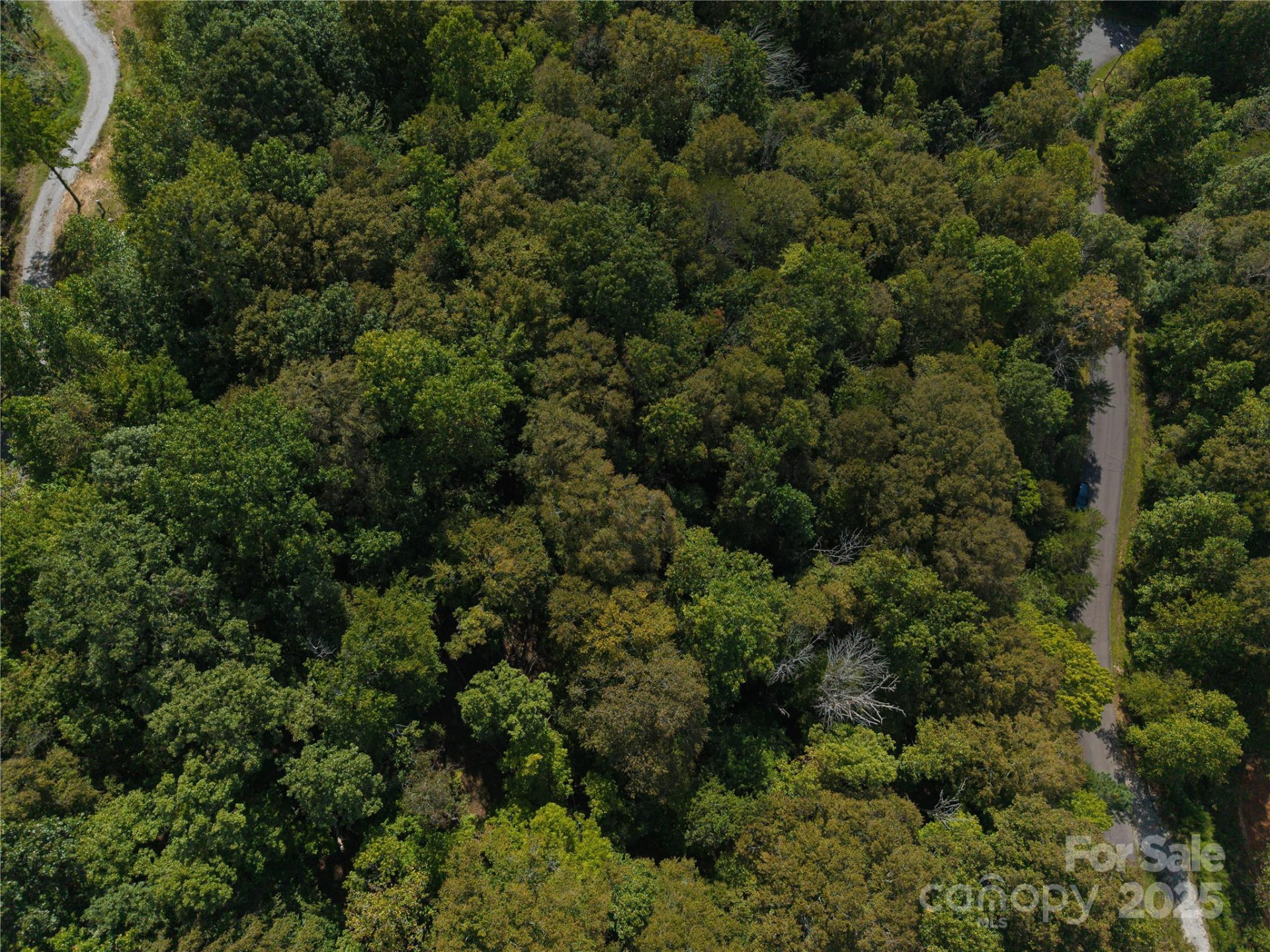 0000 Creekside Circle #135 - Photo 4