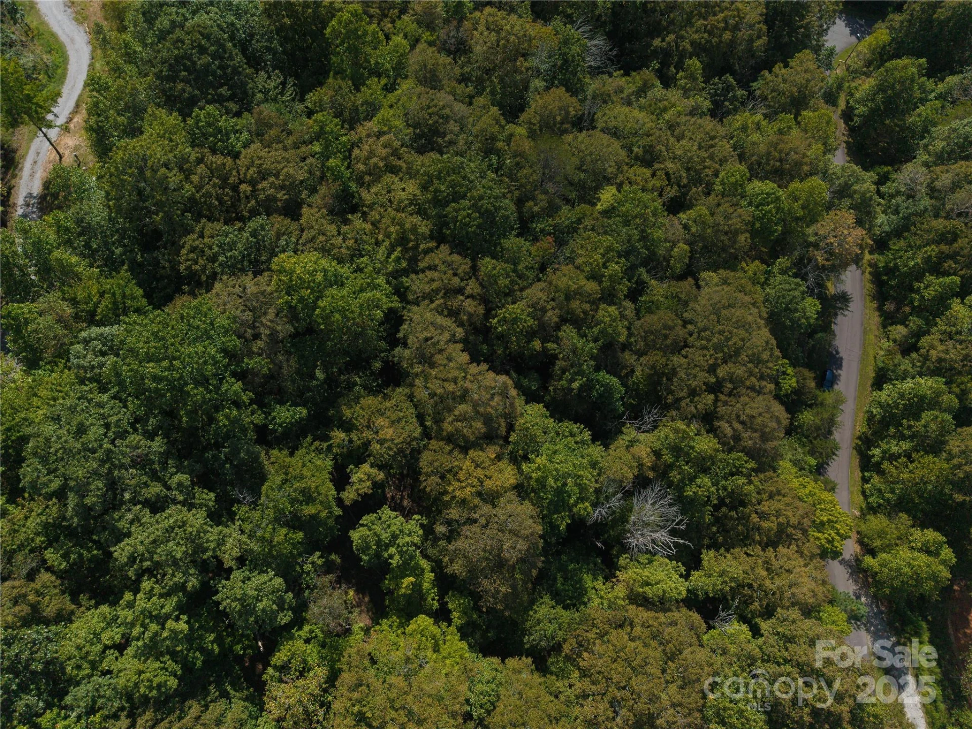0000 Creekside Circle #135 - Photo 4