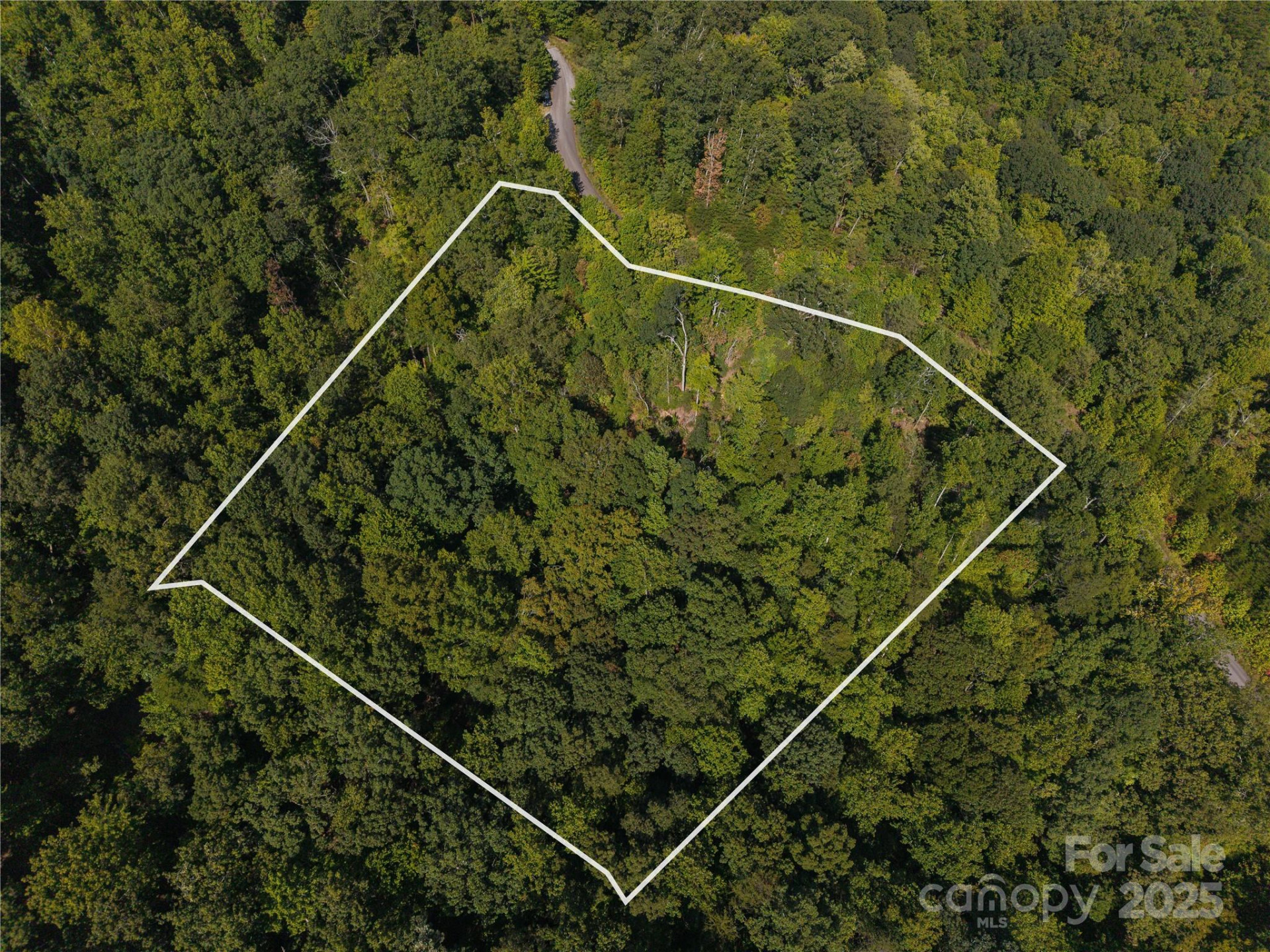 00 Wambli Pass - Photo 3