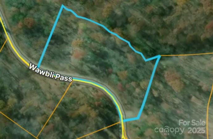 00 Wambli Pass - Photo 7