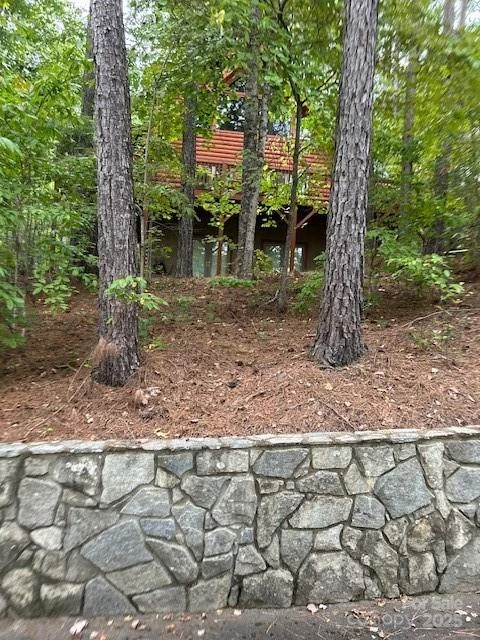 106 Lake Terrace Drive - Photo 3