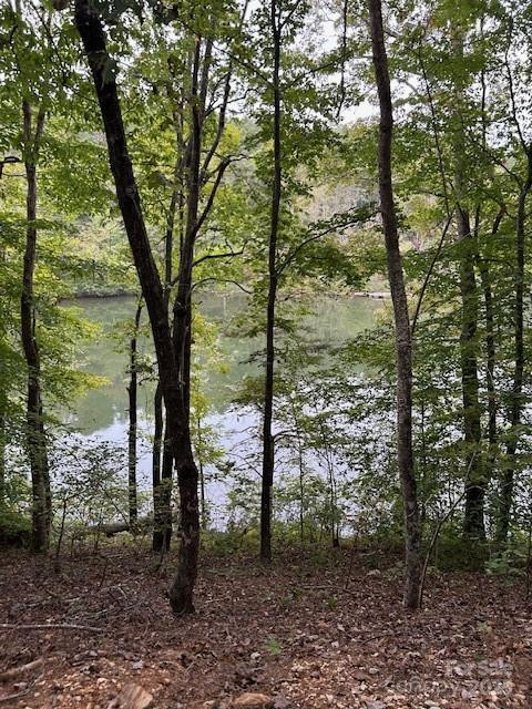 106 Lake Terrace Drive - Photo 8