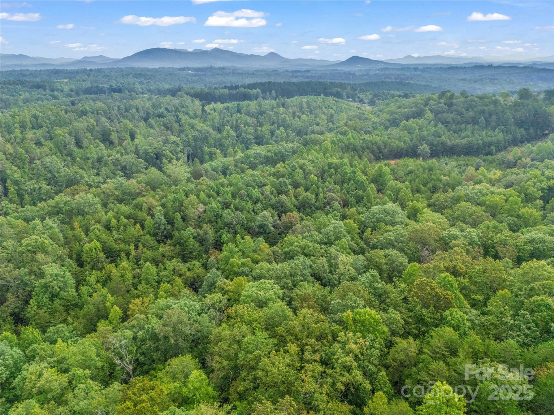 625 Rainbow Rapids Road - Photo 27