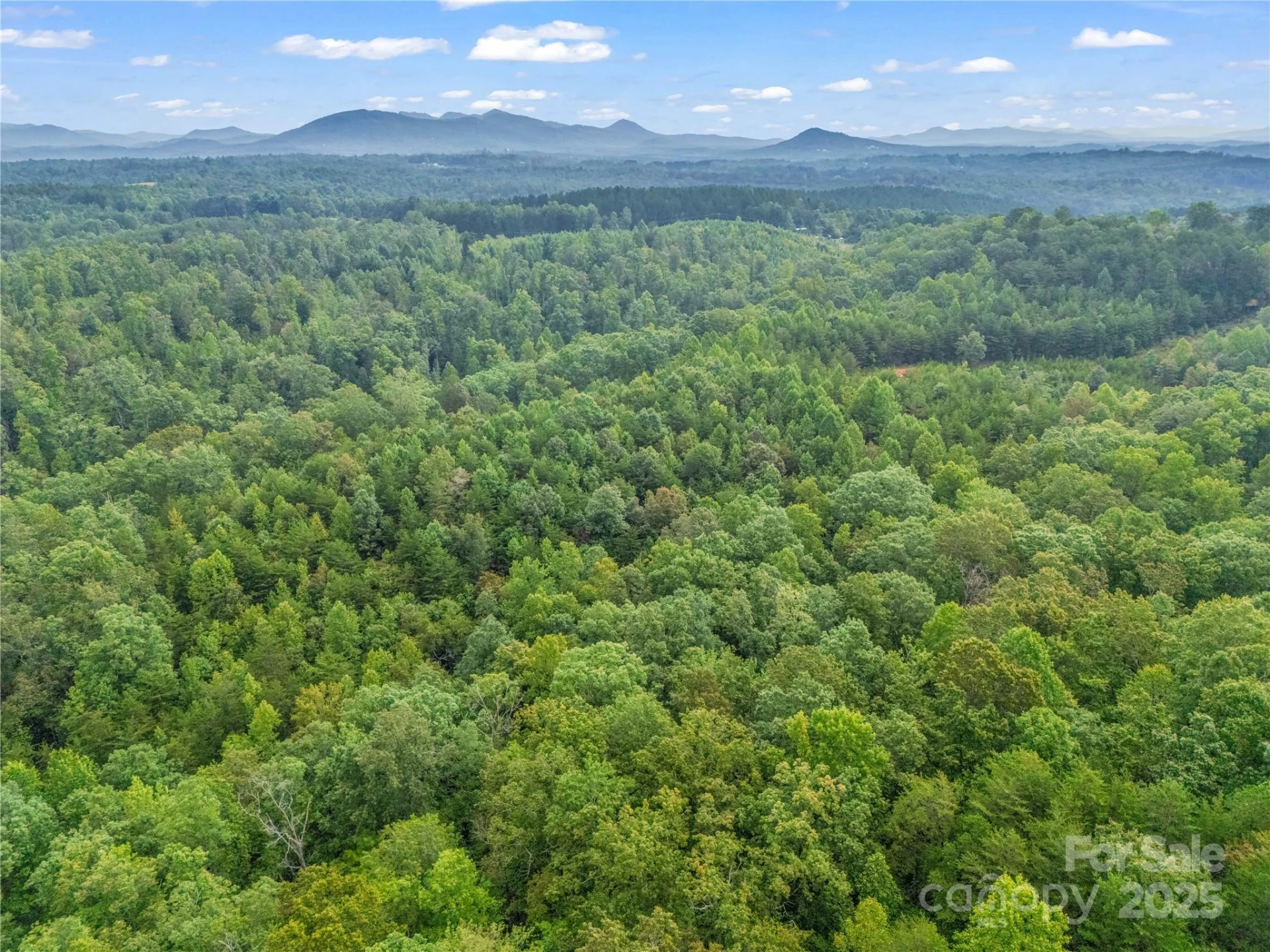 625 Rainbow Rapids Road - Photo 27