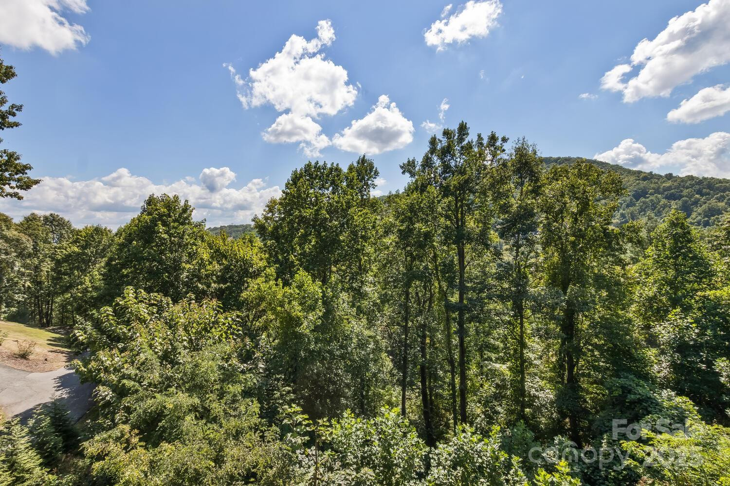10 Scott Mountain Drive - Photo 32